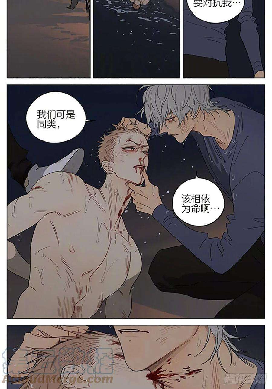 19天同类