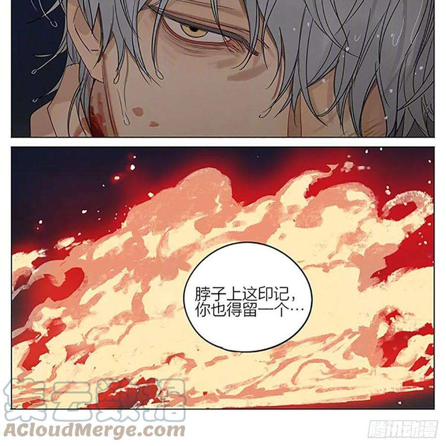 19天同类