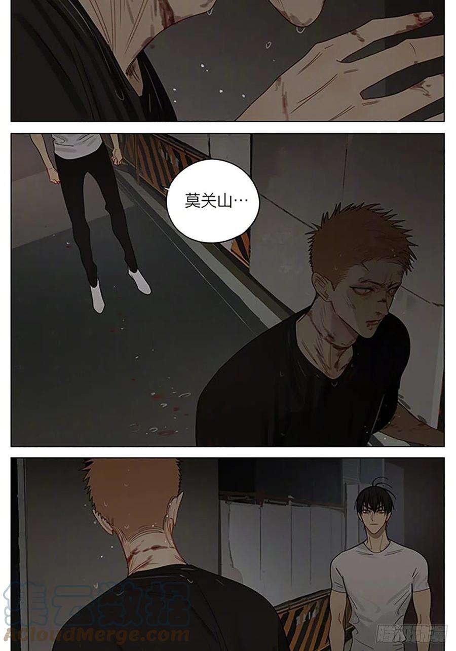 19天同类
