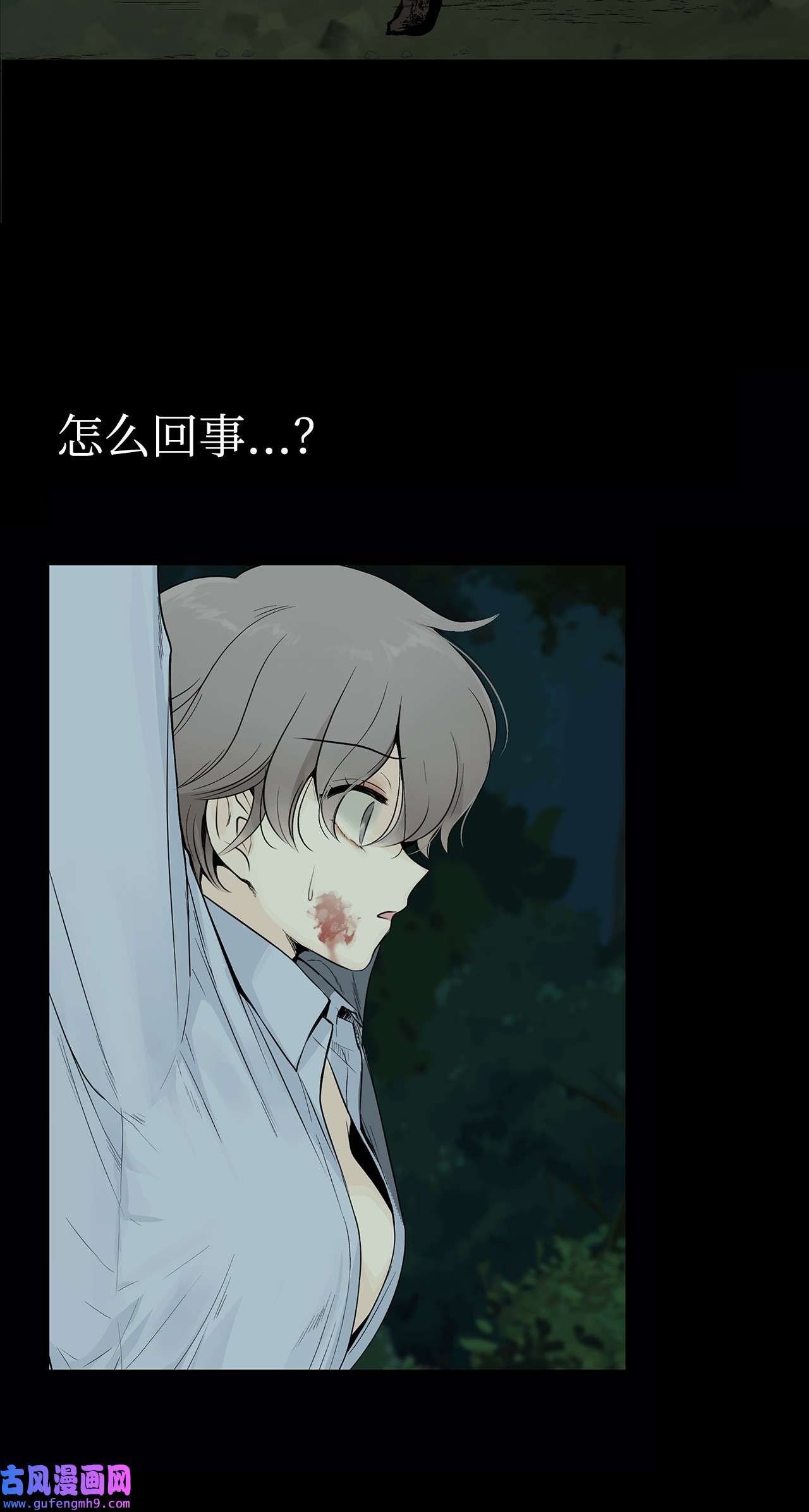 图腾领域000 序章