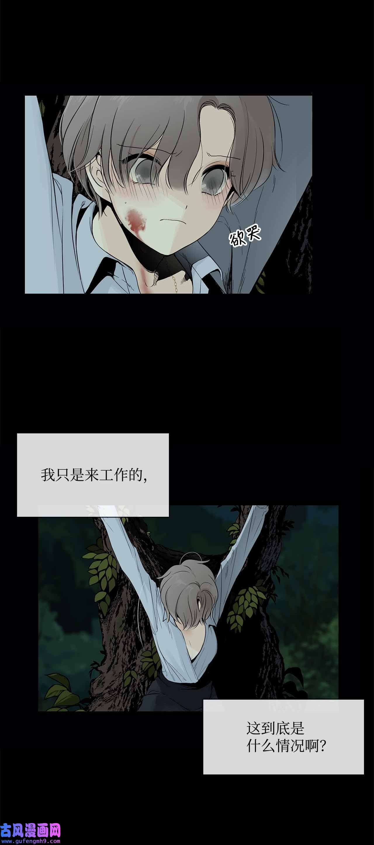 图腾领域001 无人岛