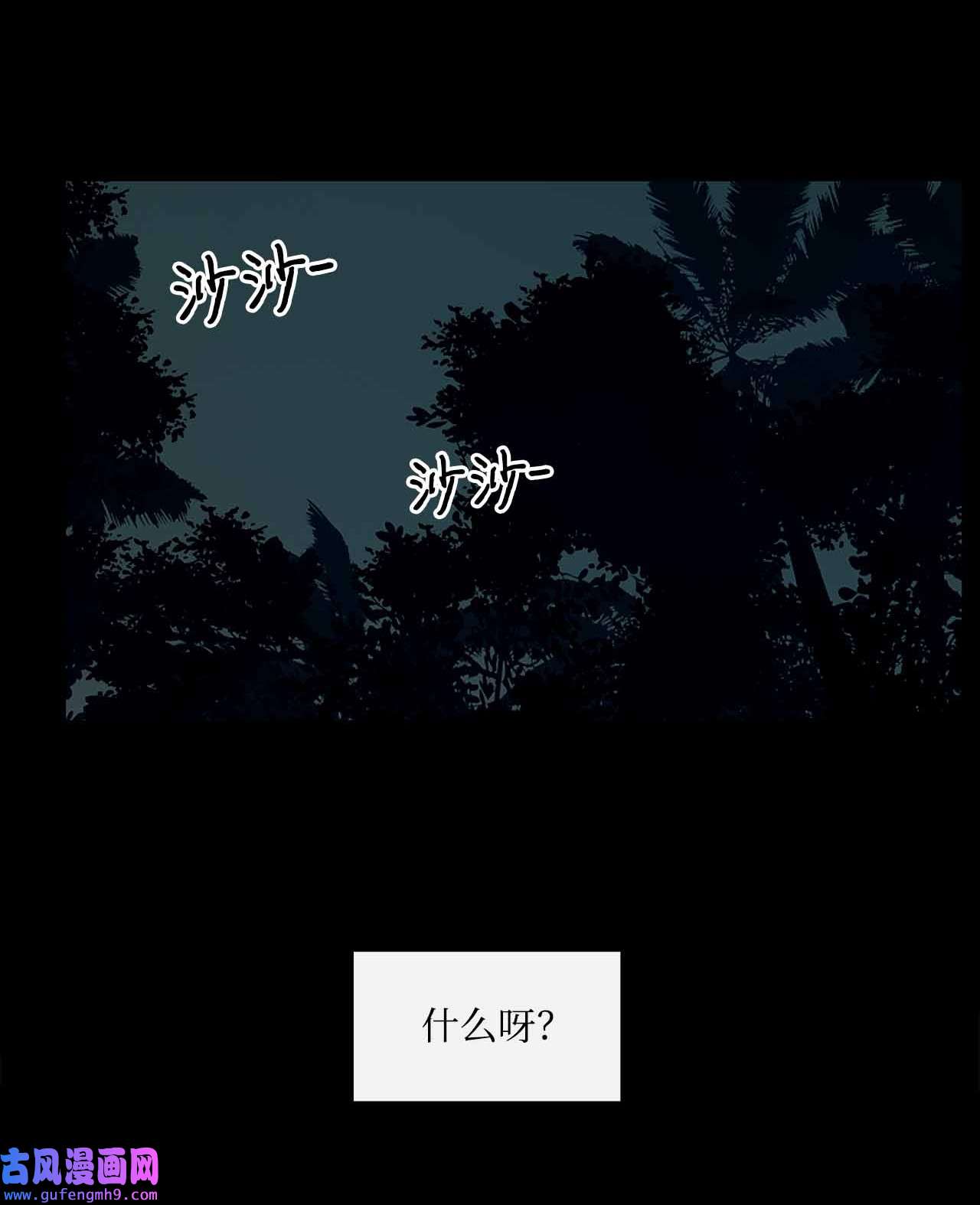 图腾领域001 无人岛