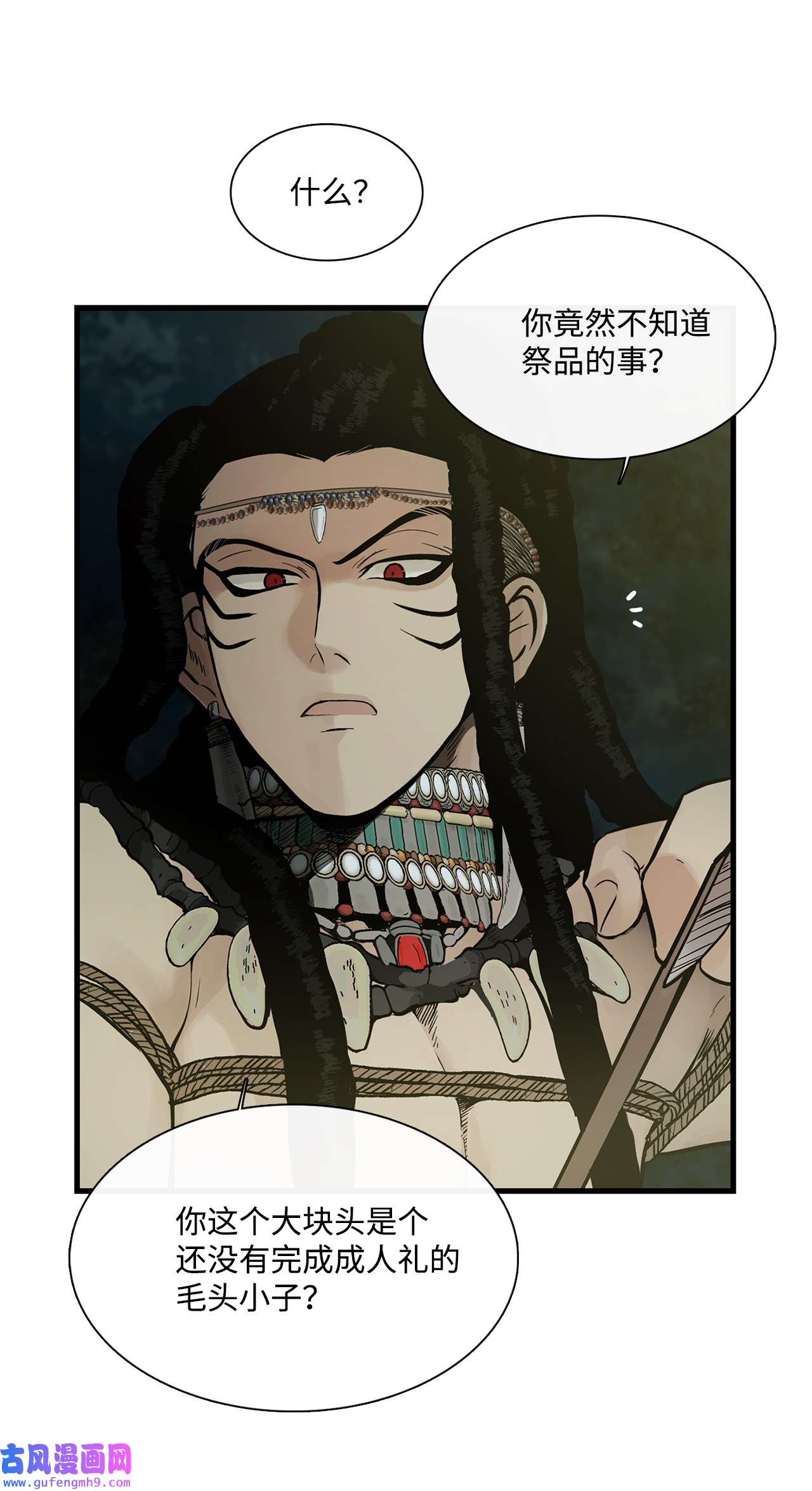 图腾领域006 乌萨皮族首领