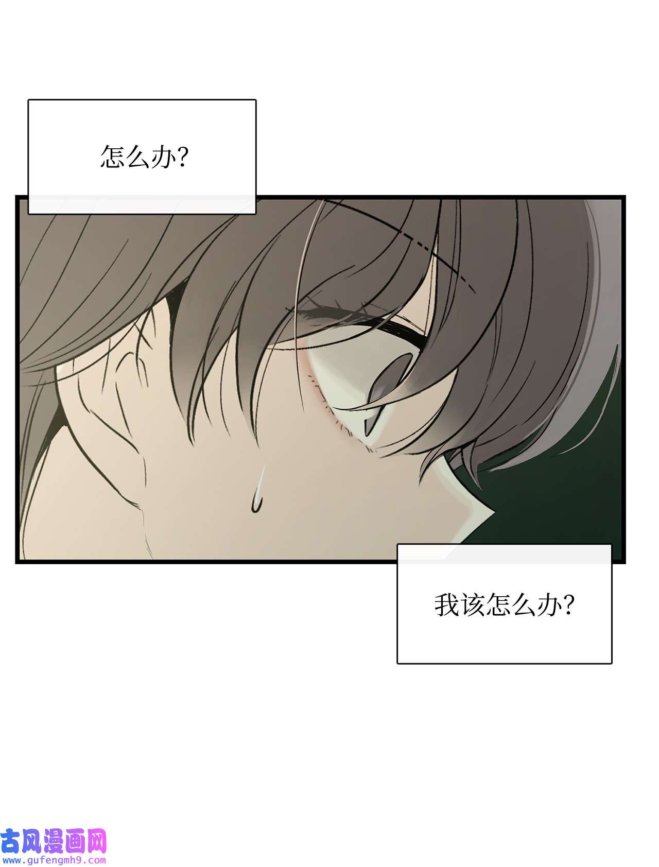 图腾领域007 特殊的存在