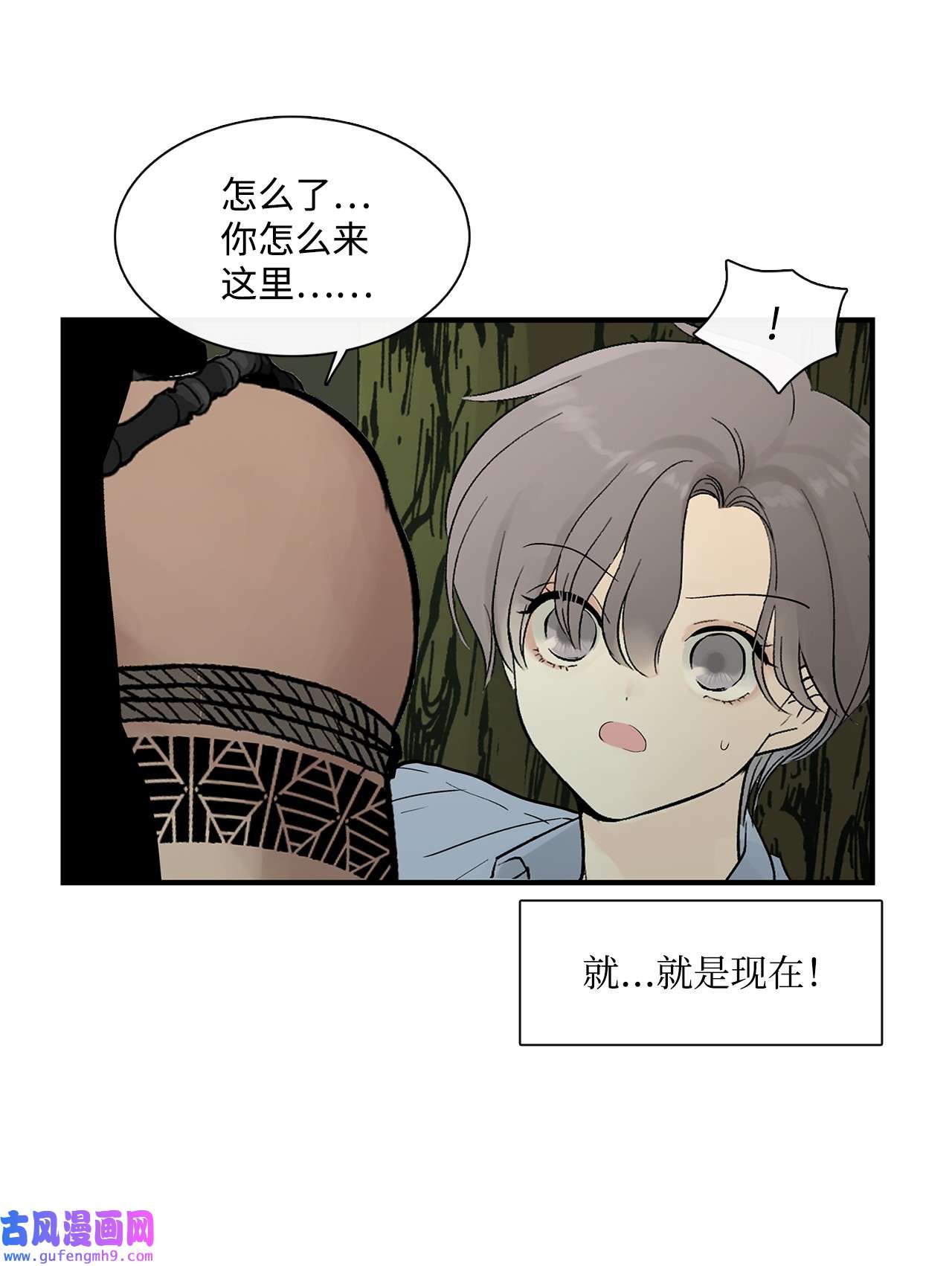 图腾领域007 特殊的存在