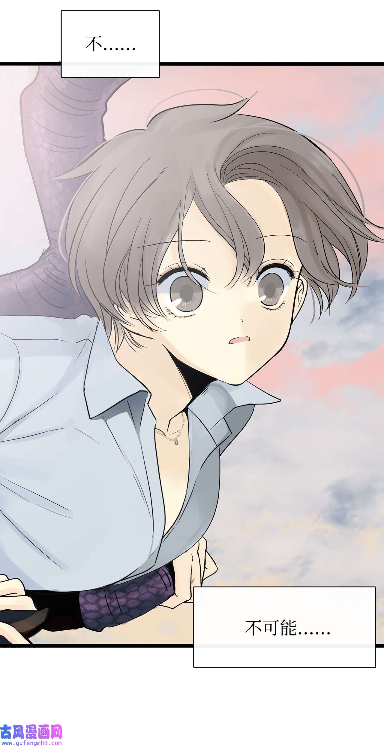 图腾领域007 特殊的存在