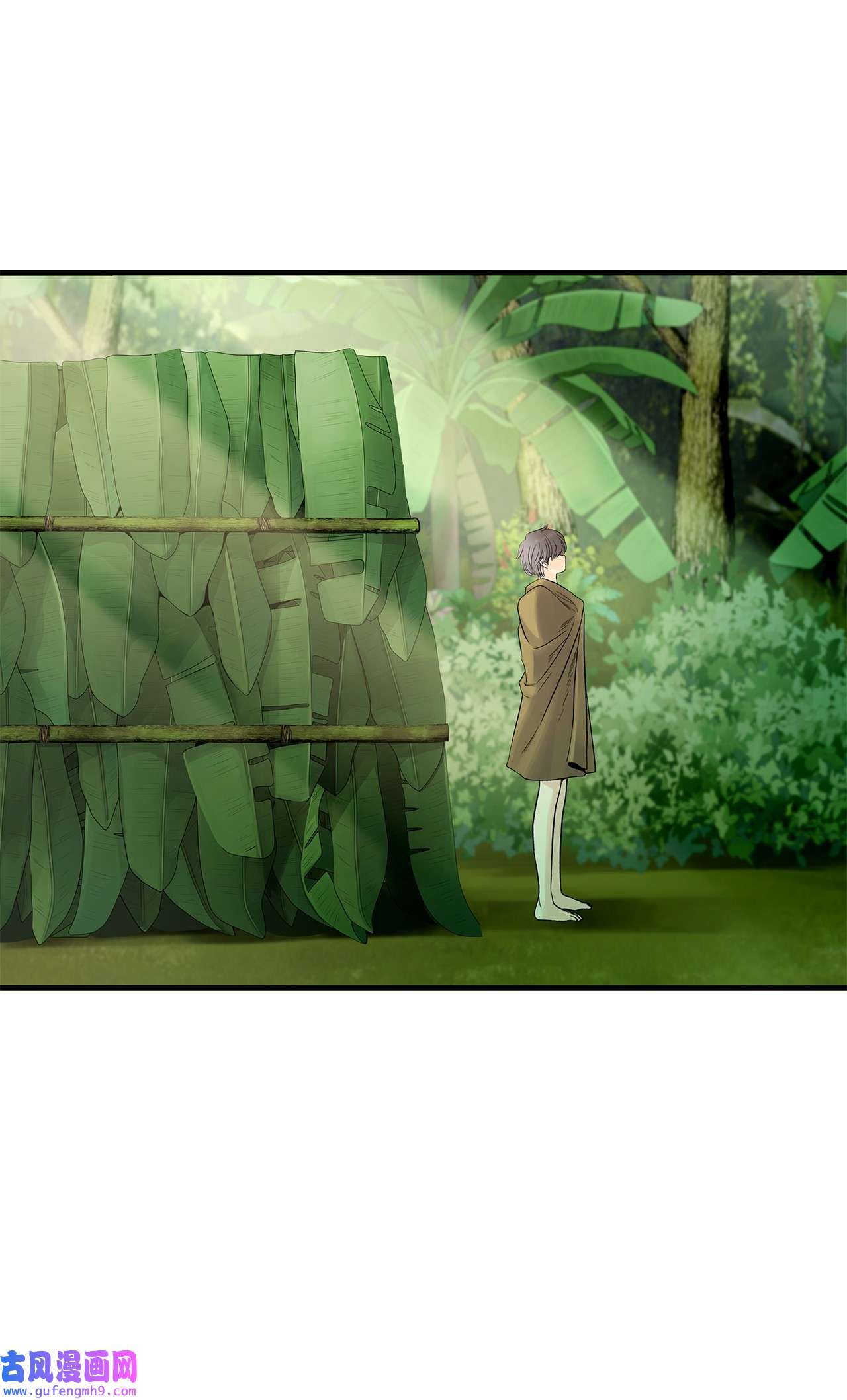 图腾领域011 丢失的记忆