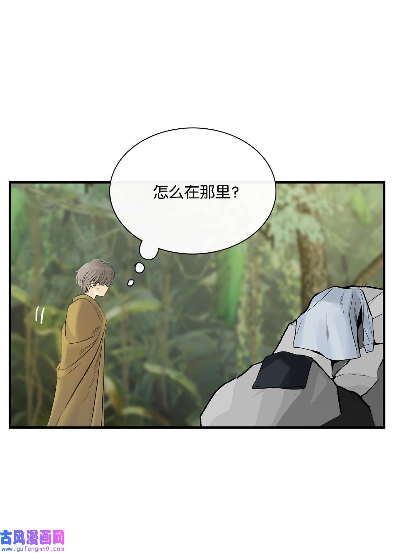 图腾领域011 丢失的记忆