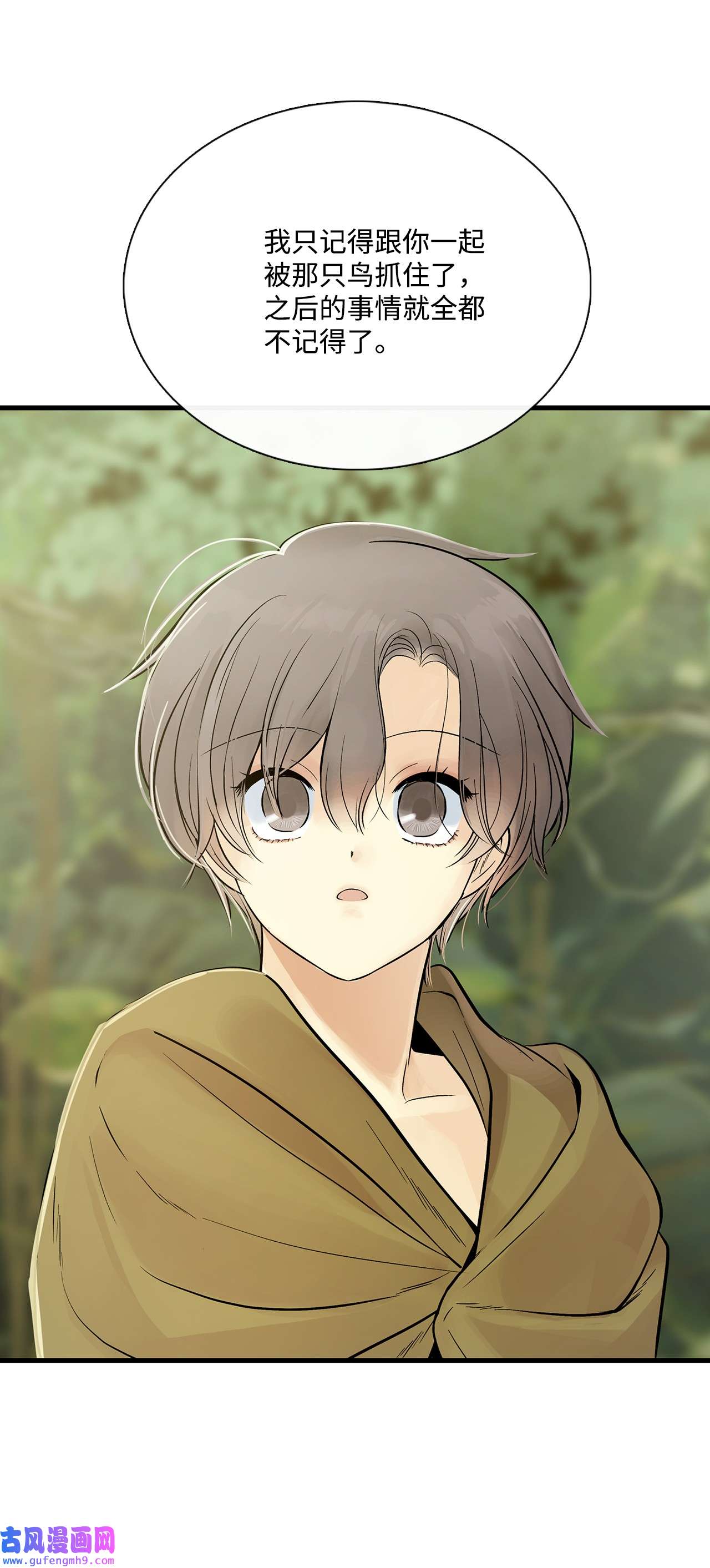 图腾领域011 丢失的记忆