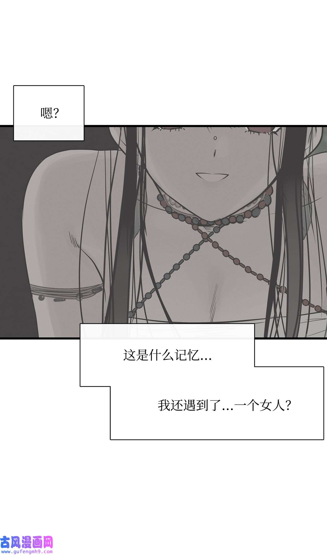 图腾领域011 丢失的记忆