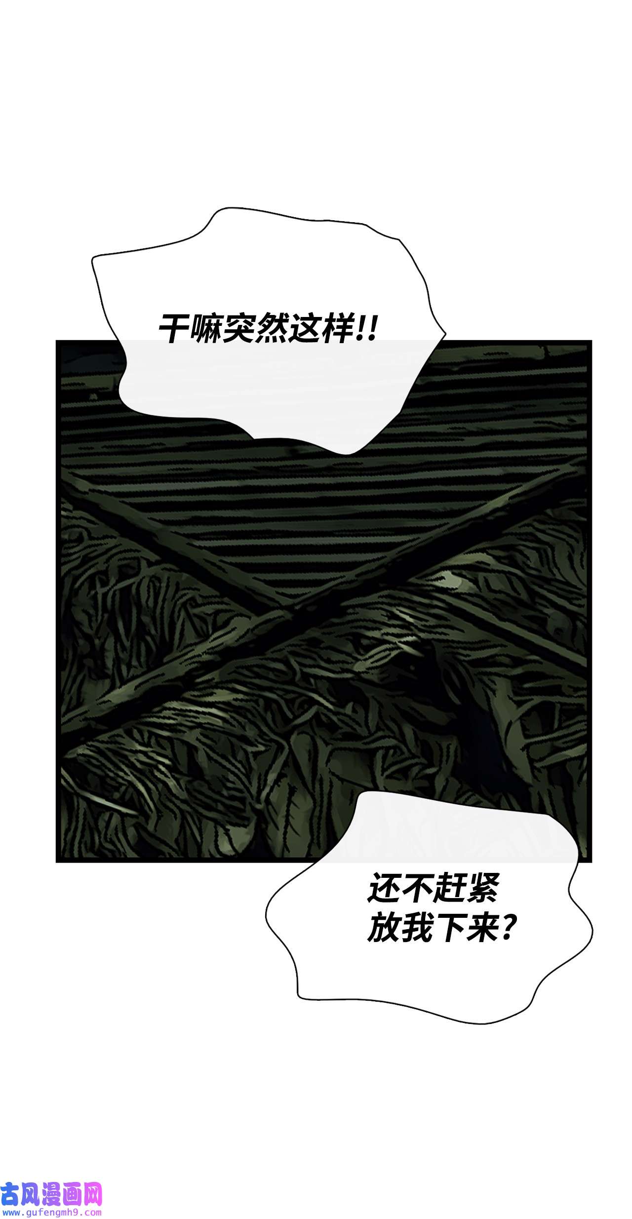 图腾领域012 沙卡在哪