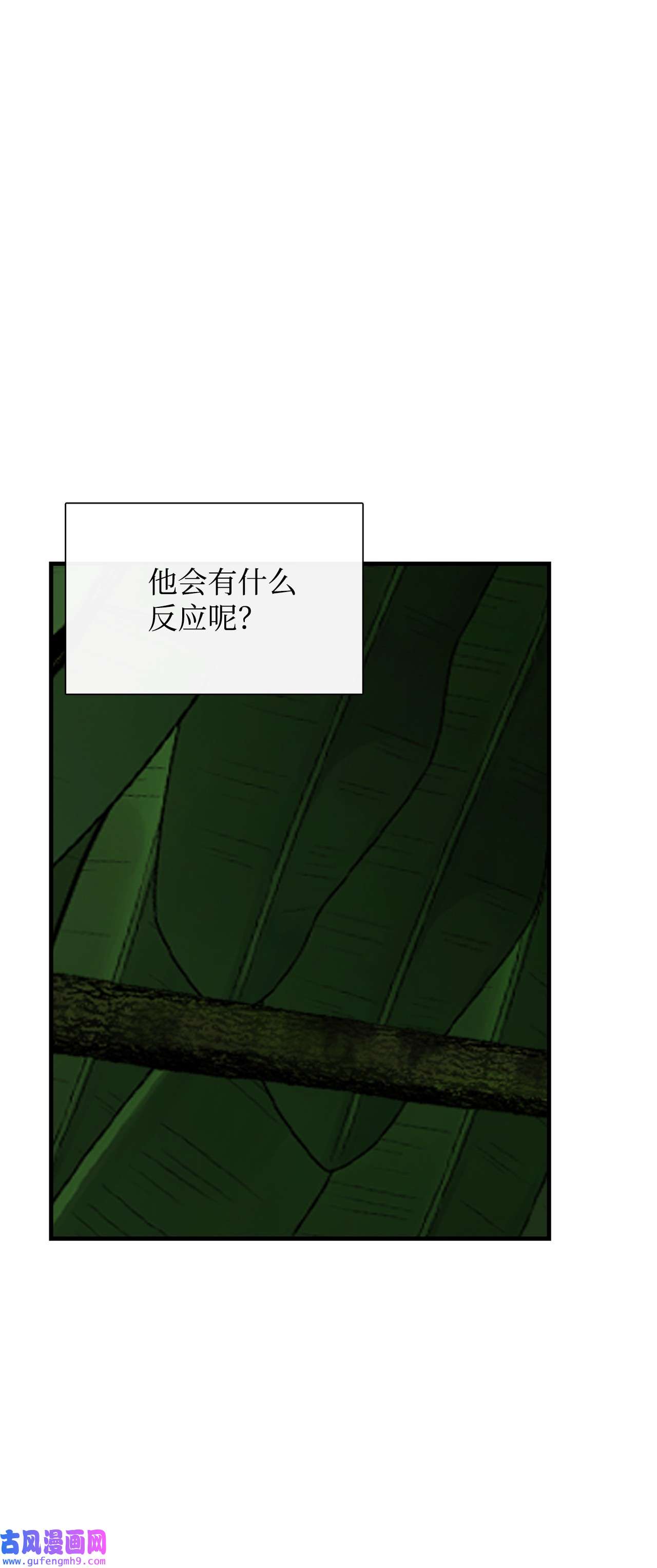 图腾领域013 帮我