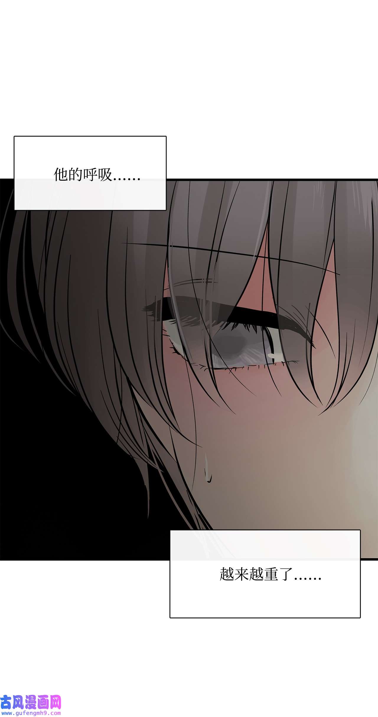 图腾领域013 帮我