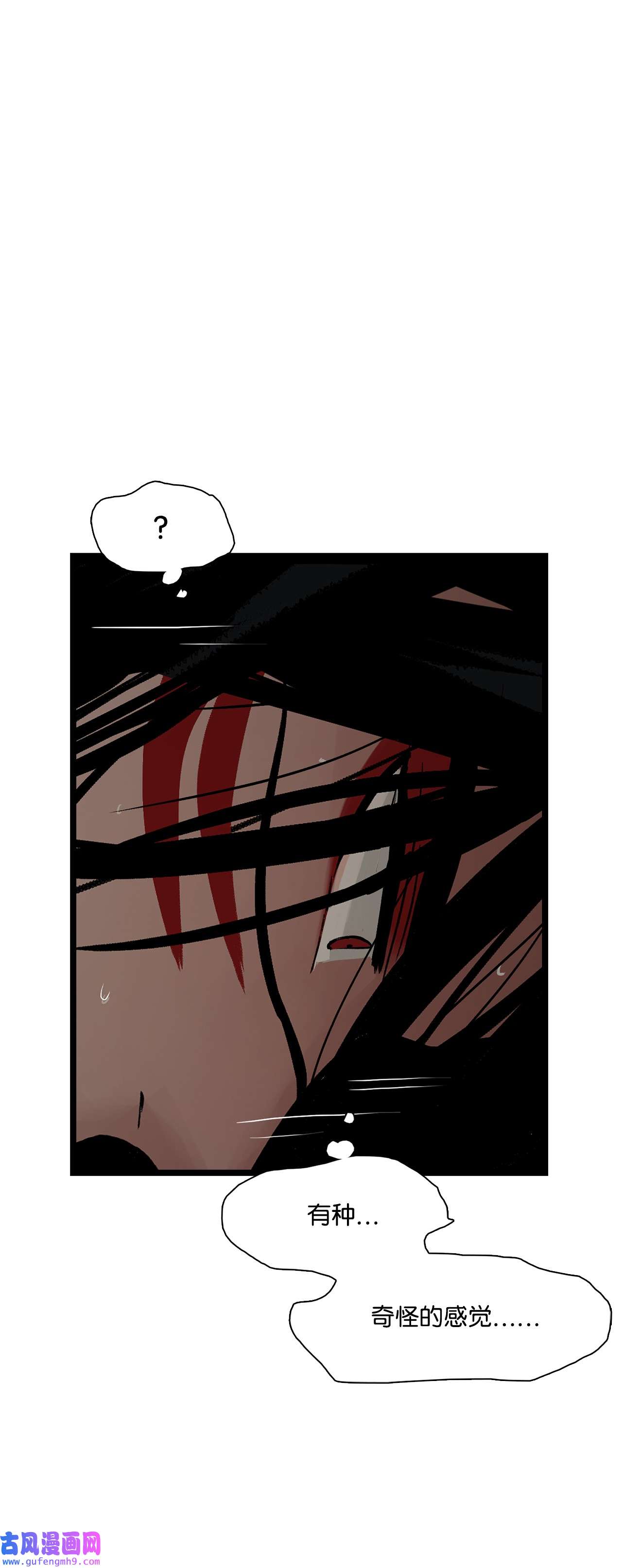 图腾领域014 你才更奇怪