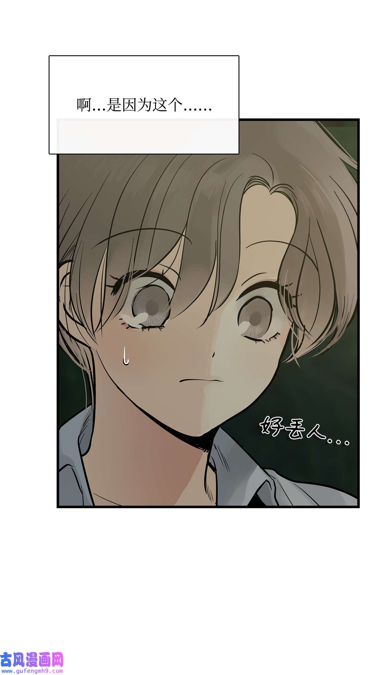 图腾领域014 你才更奇怪