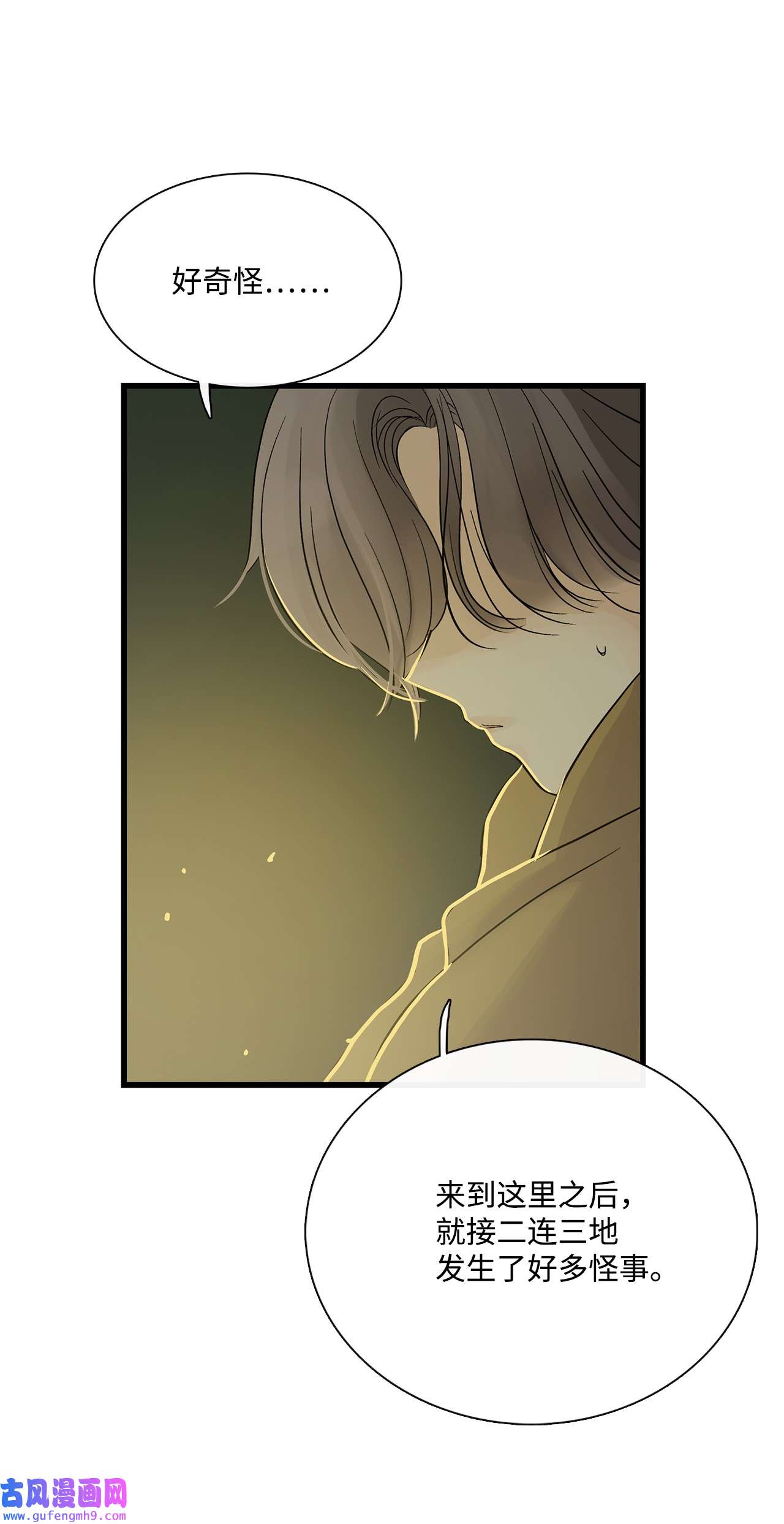 图腾领域014 你才更奇怪