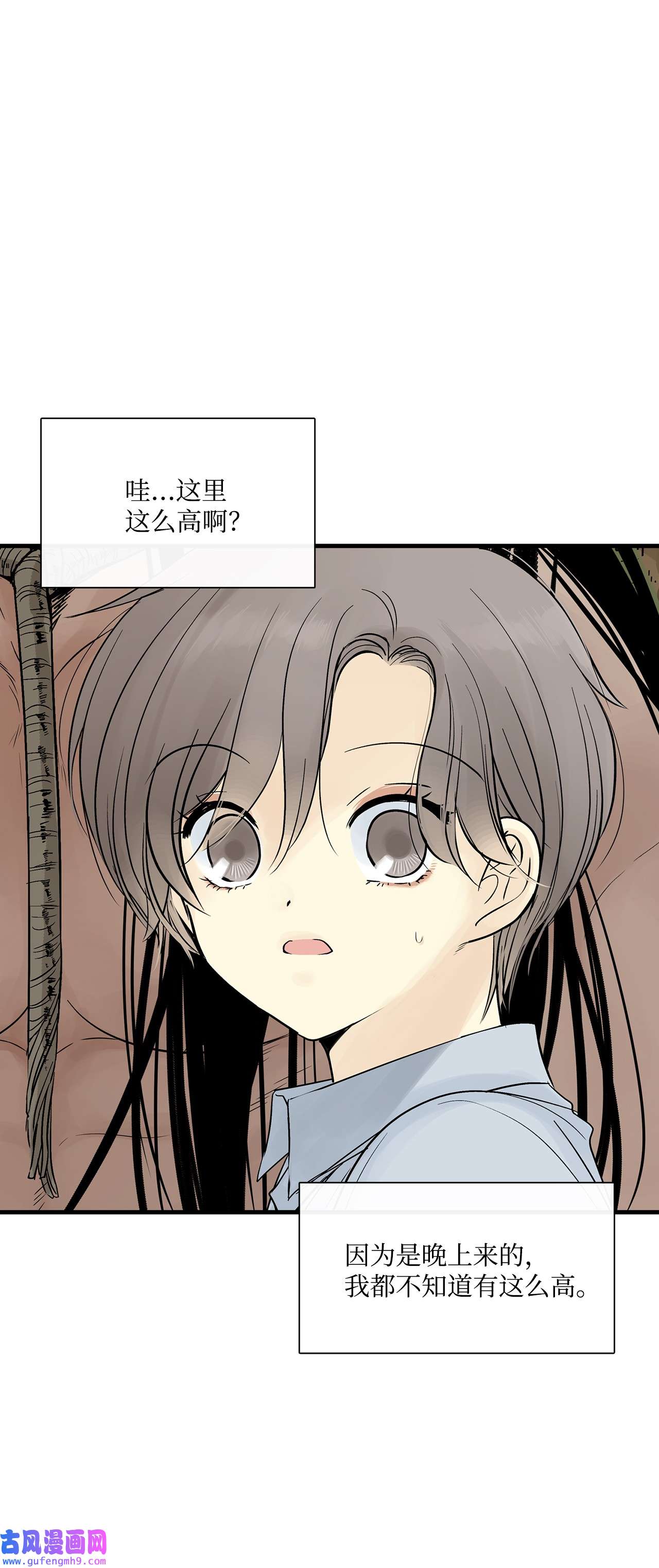 图腾领域021 他的过去