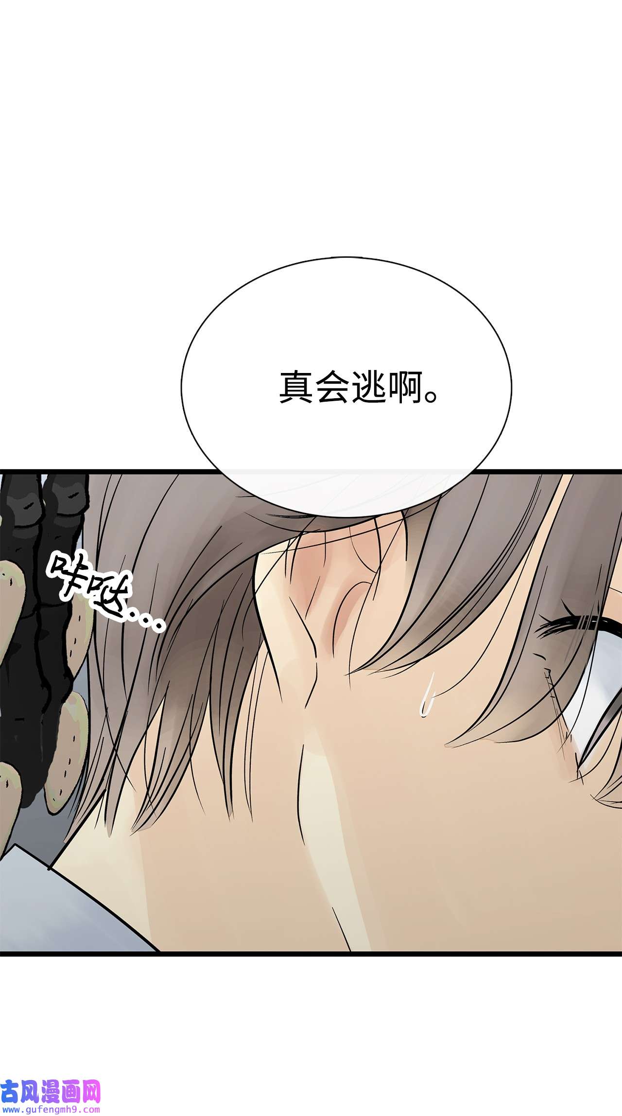 图腾领域024 被抓了