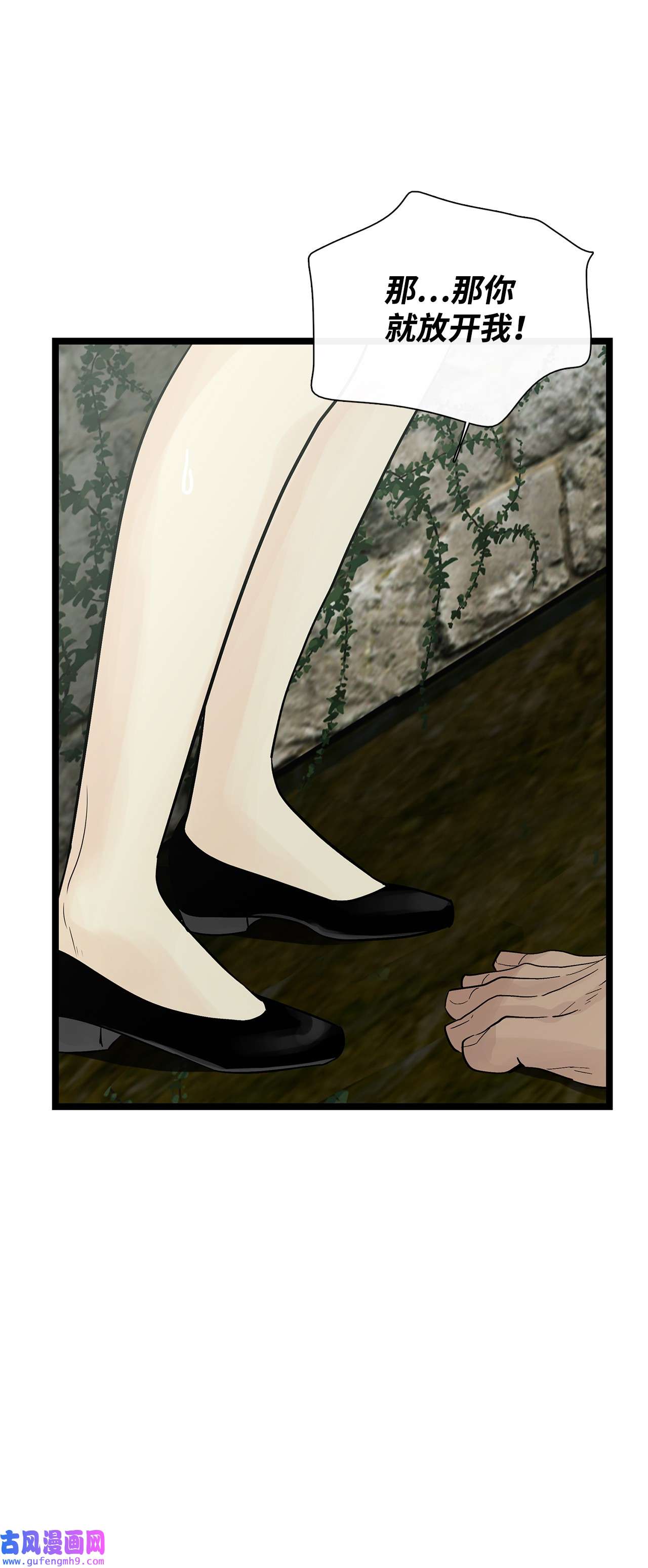 图腾领域026 那个男人的尝试