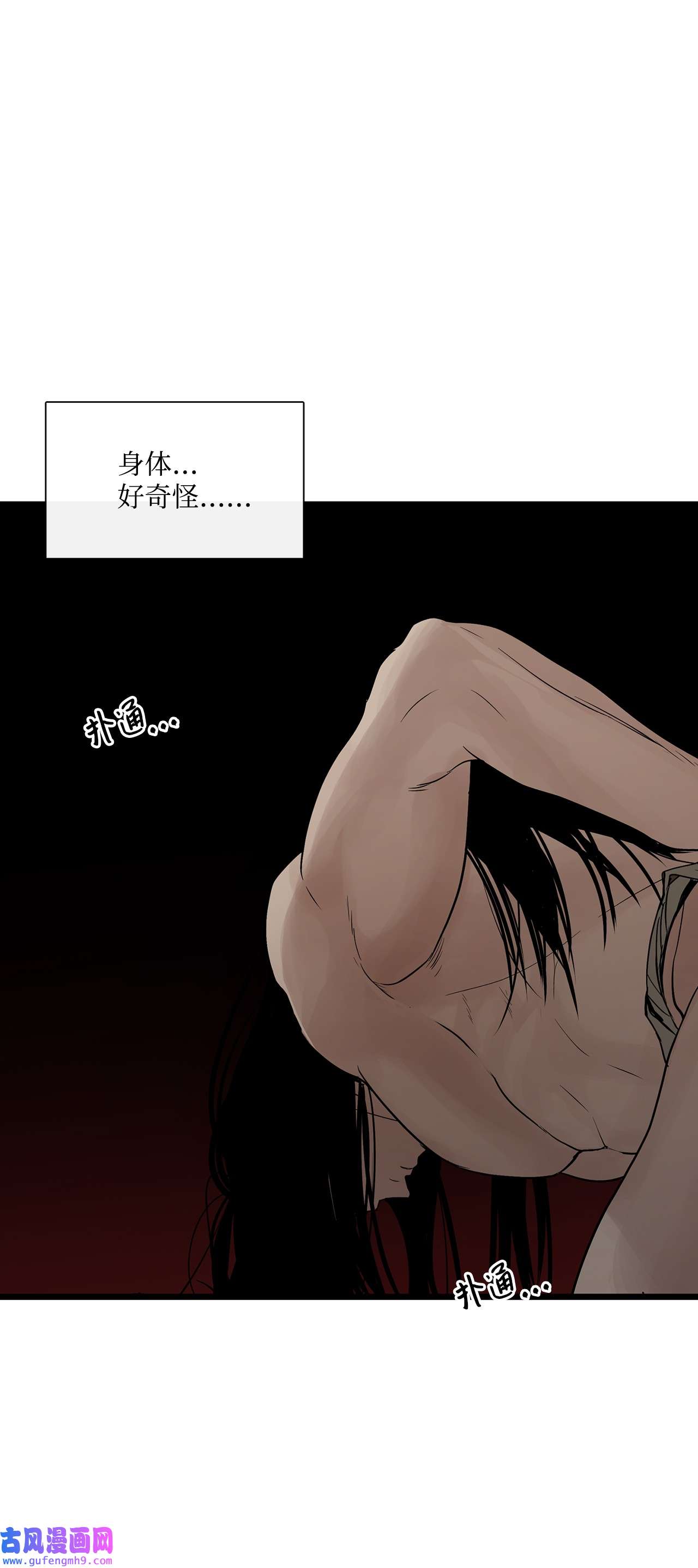 图腾领域026 那个男人的尝试