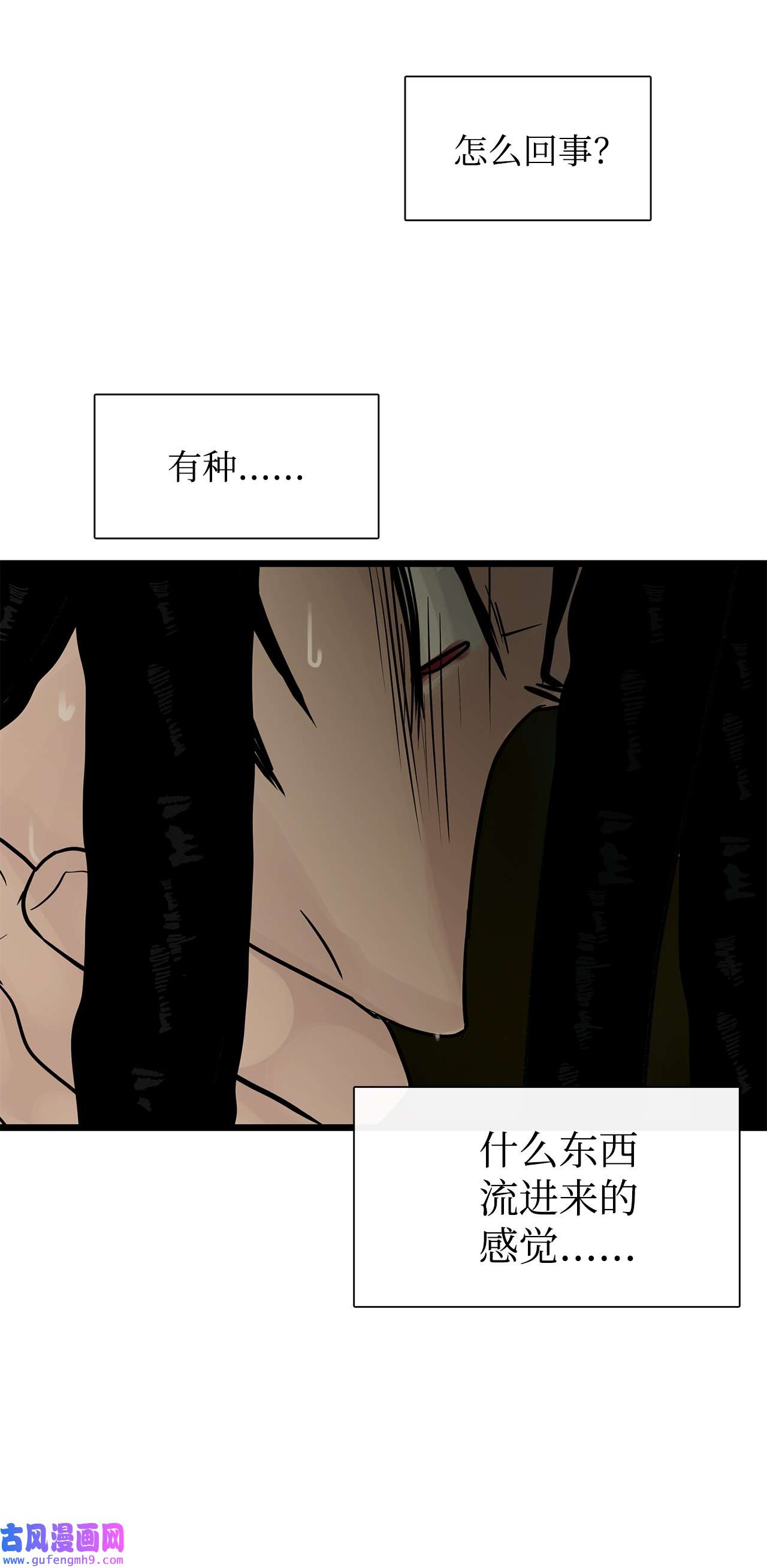 图腾领域026 那个男人的尝试