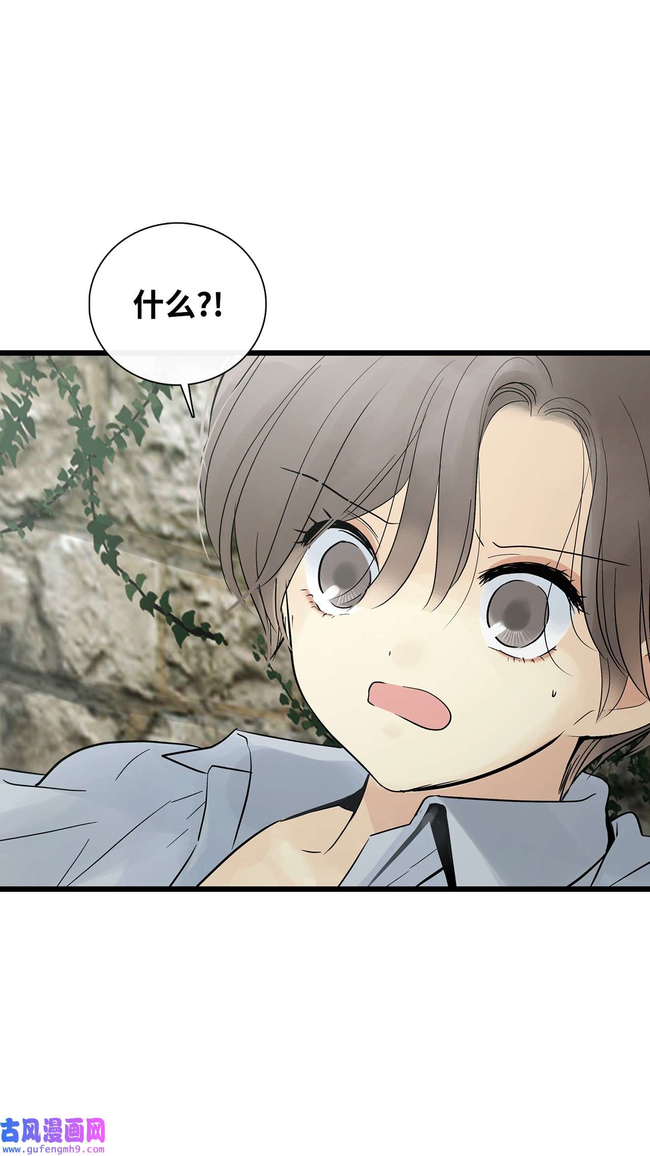 图腾领域026 那个男人的尝试