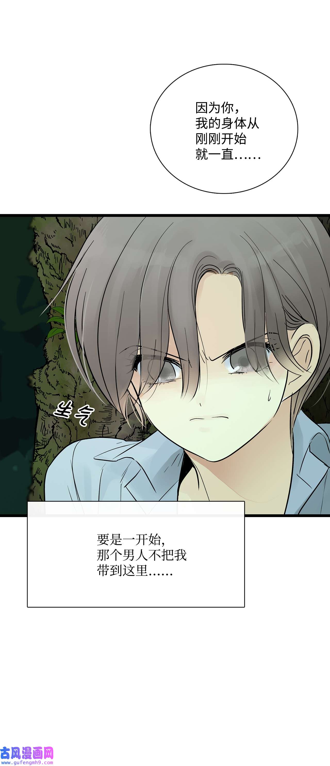 图腾领域27 消失的岛