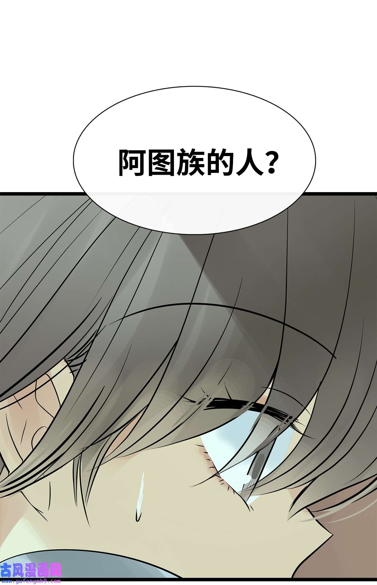 图腾领域28 沙卡的朋友们