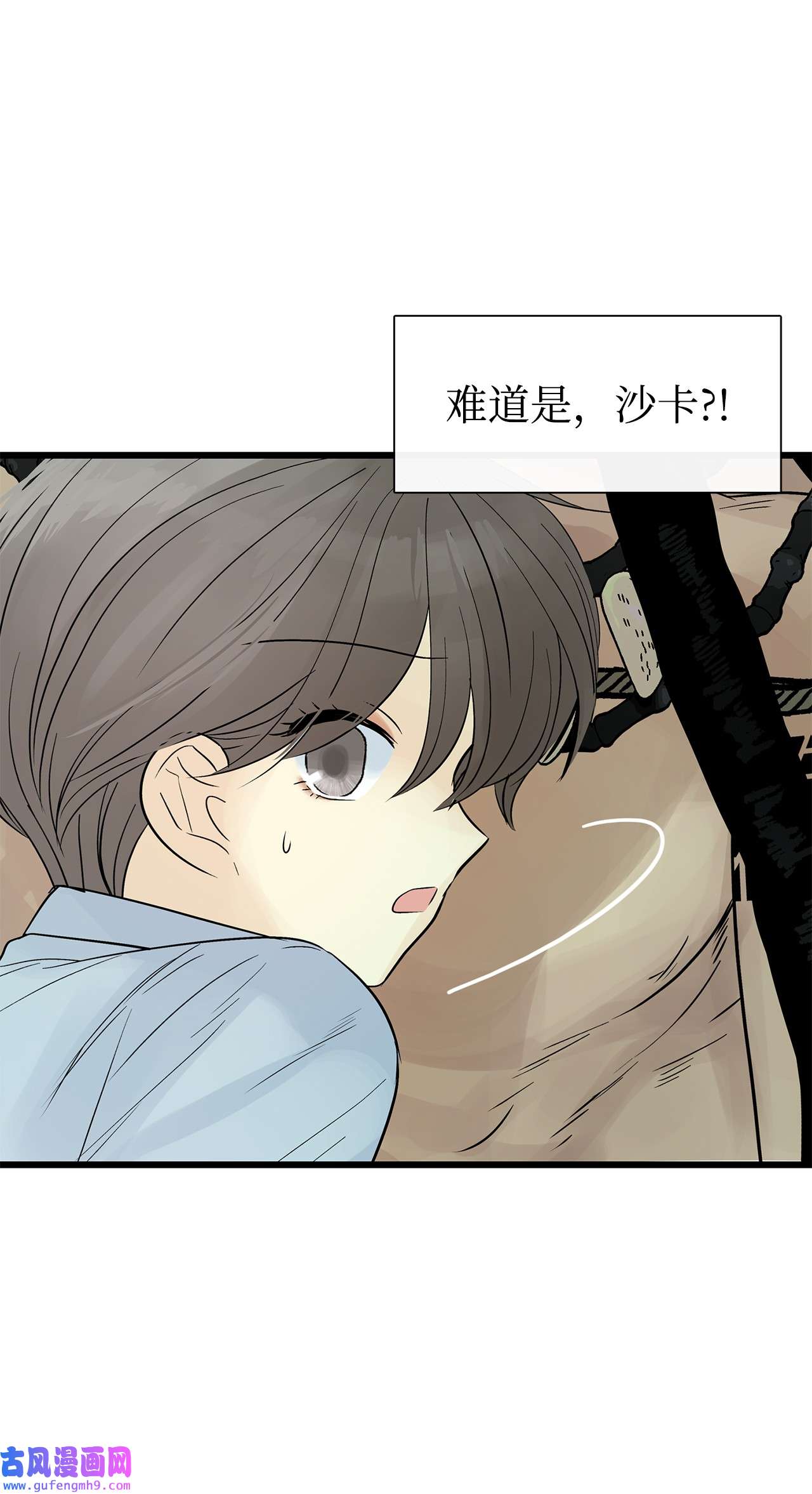 图腾领域28 沙卡的朋友们