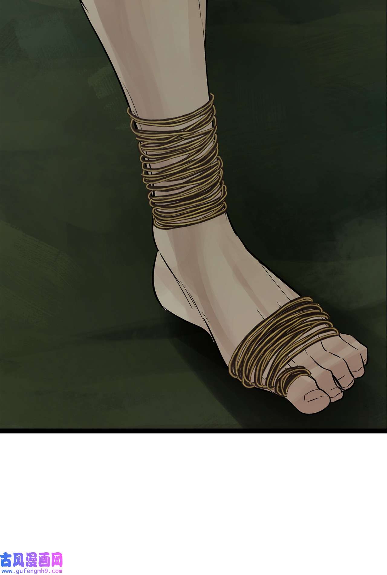 图腾领域28 沙卡的朋友们