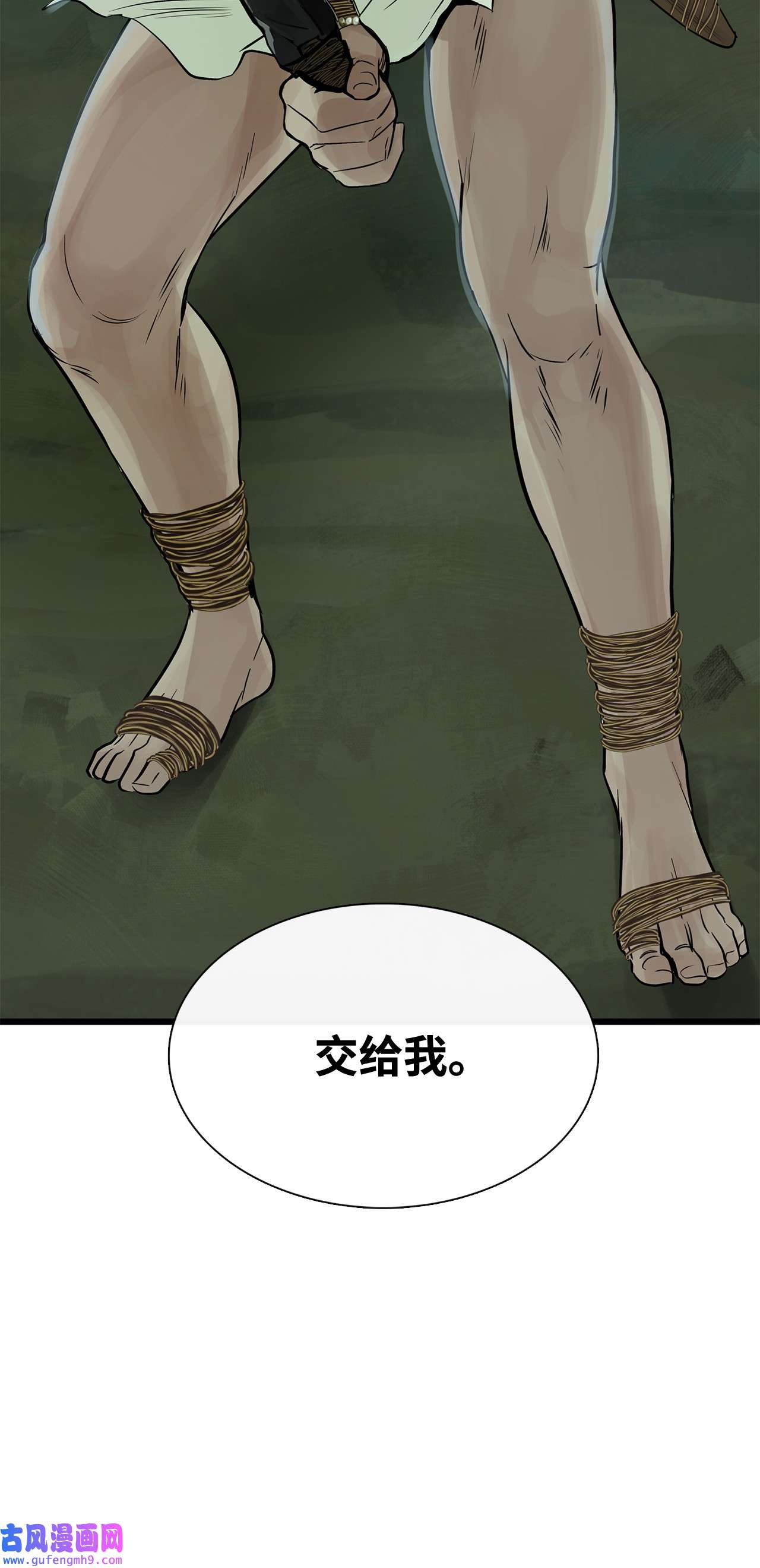 图腾领域28 沙卡的朋友们