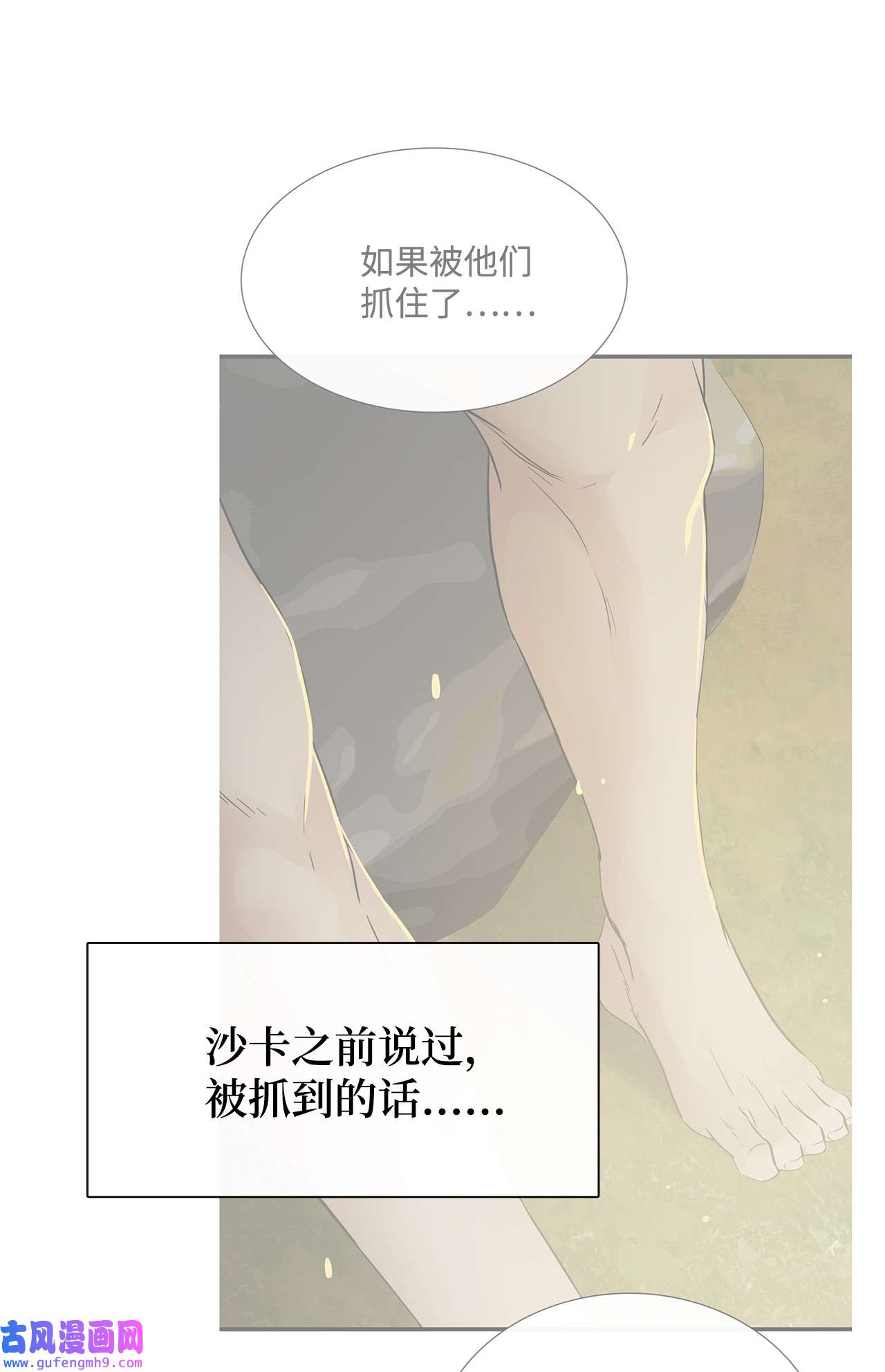 图腾领域28 沙卡的朋友们