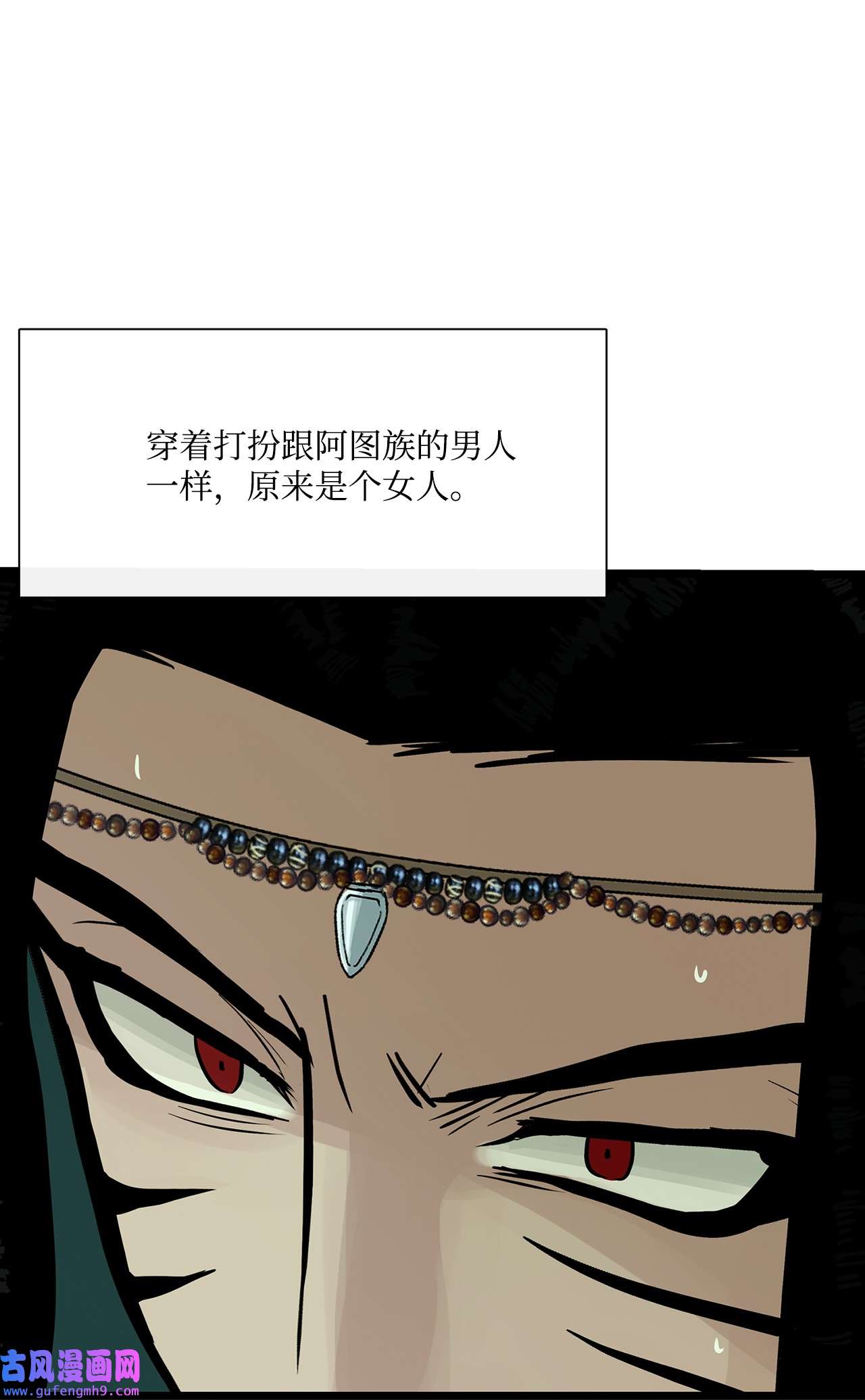 图腾领域28 沙卡的朋友们