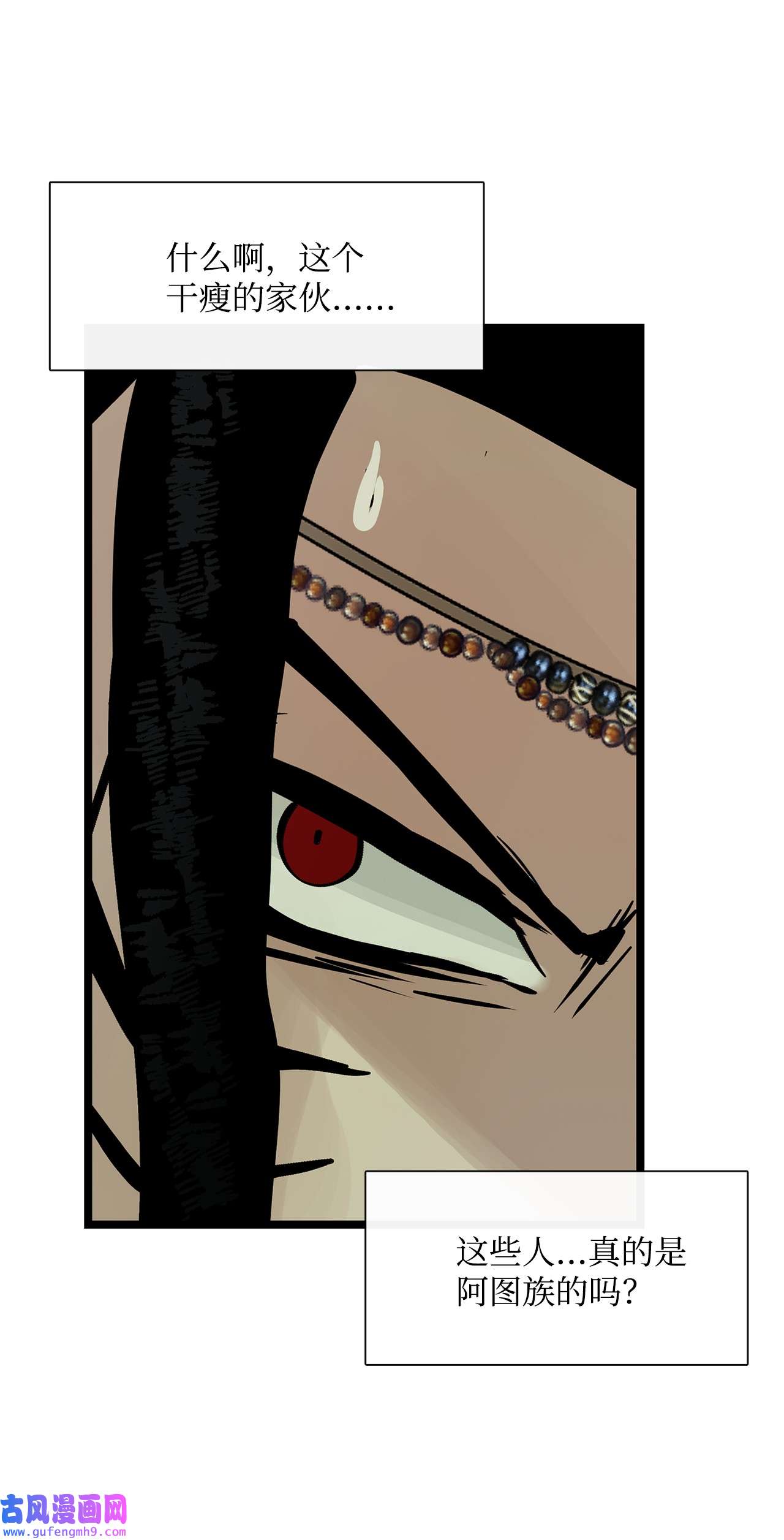 图腾领域28 沙卡的朋友们