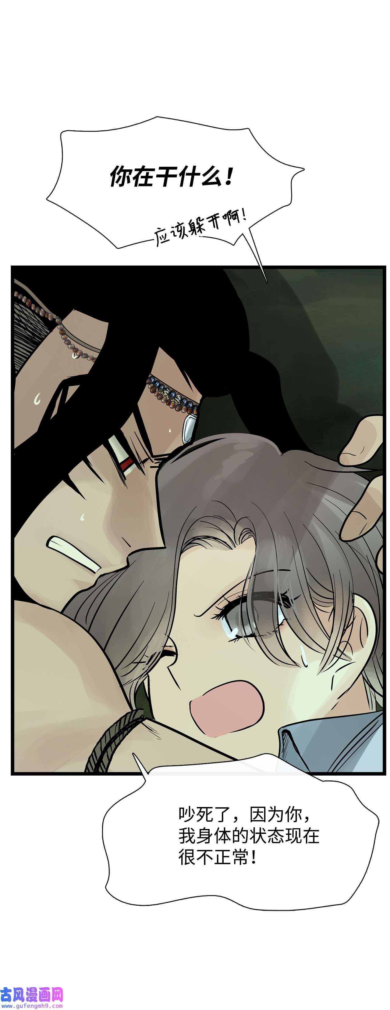 图腾领域28 沙卡的朋友们