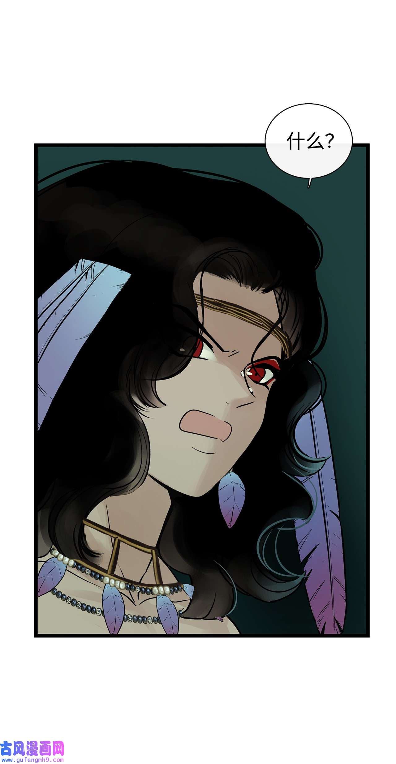 图腾领域28 沙卡的朋友们