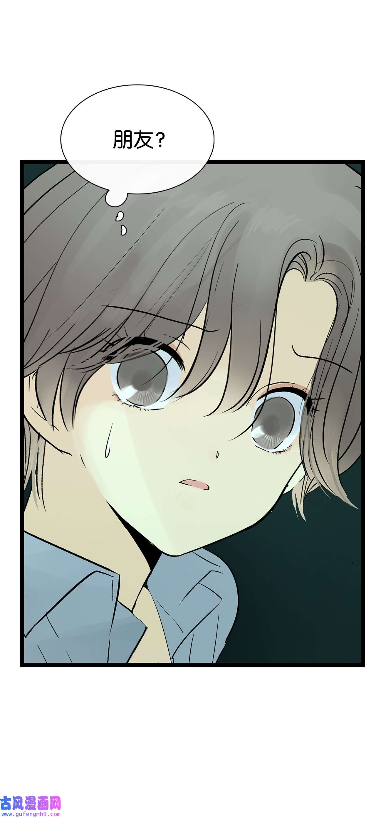 图腾领域28 沙卡的朋友们