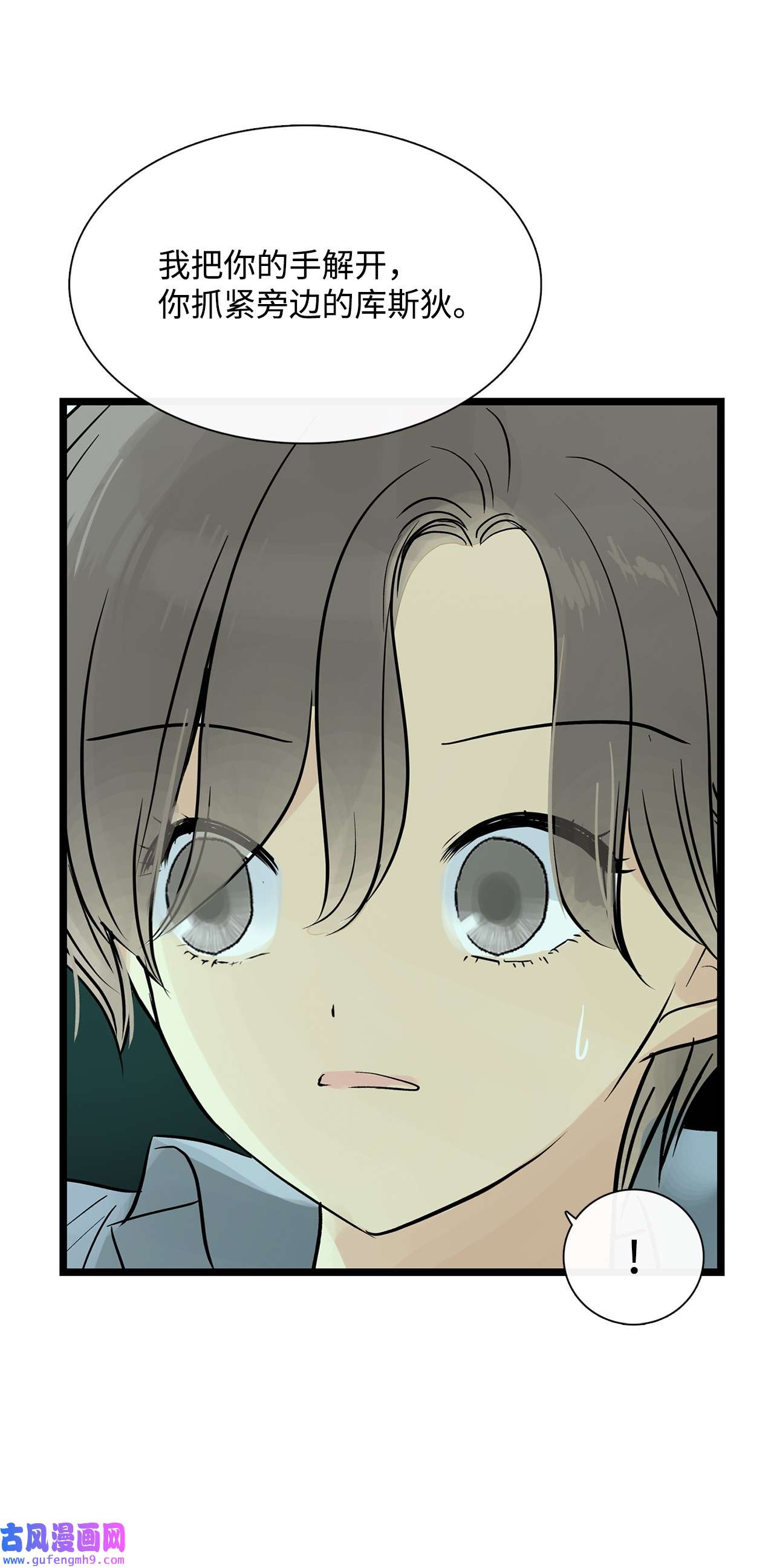 图腾领域28 沙卡的朋友们