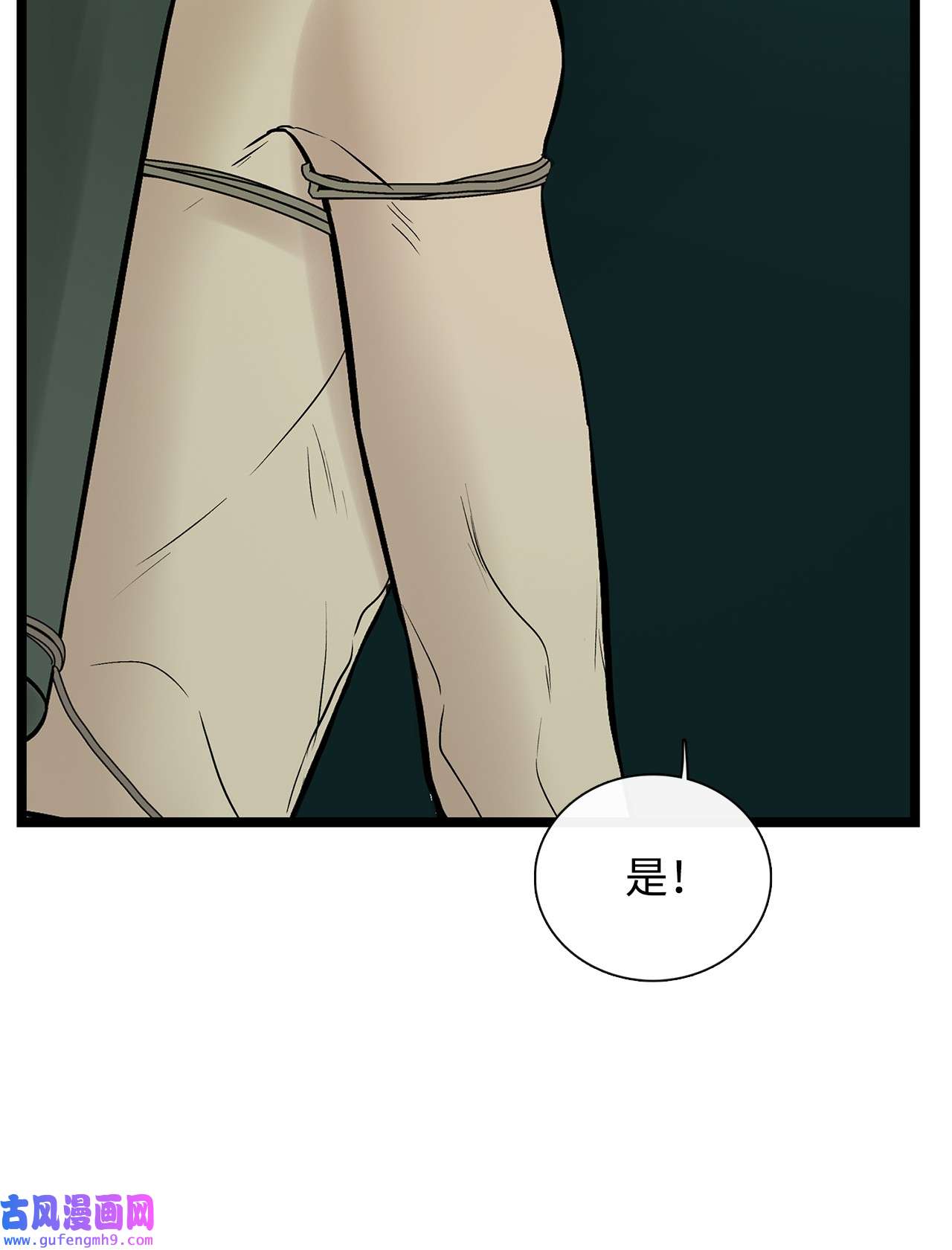 图腾领域28 沙卡的朋友们