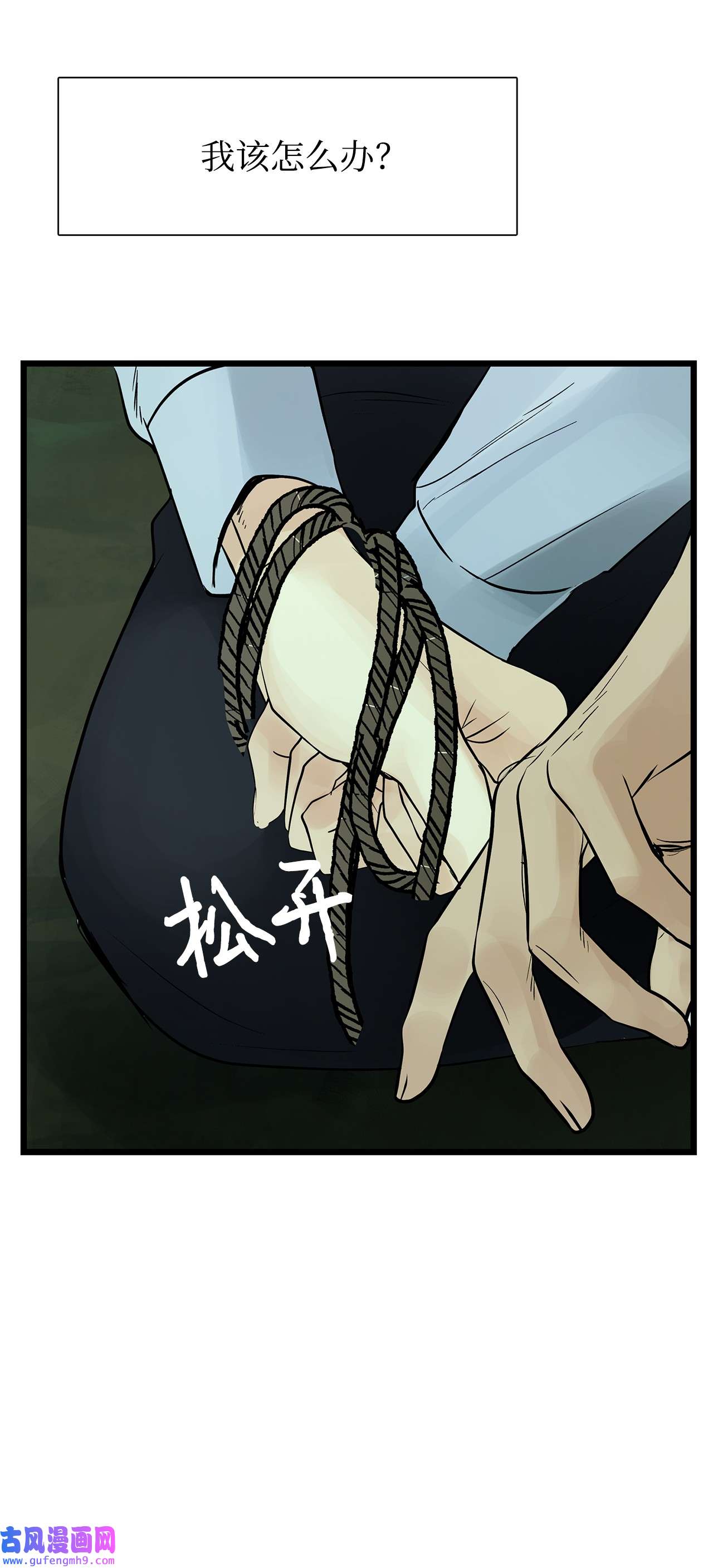 图腾领域28 沙卡的朋友们