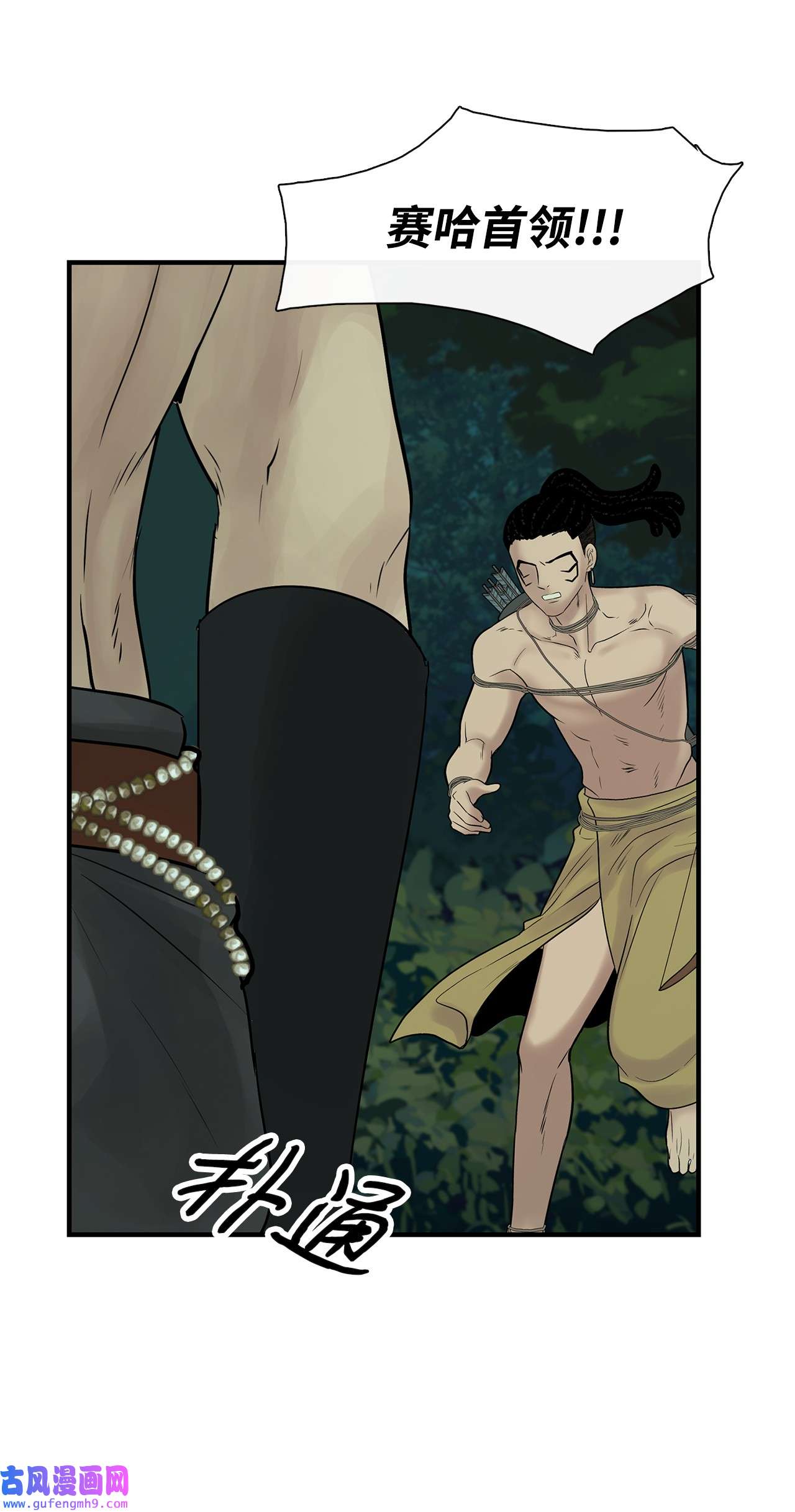 图腾领域29 又遇沙卡