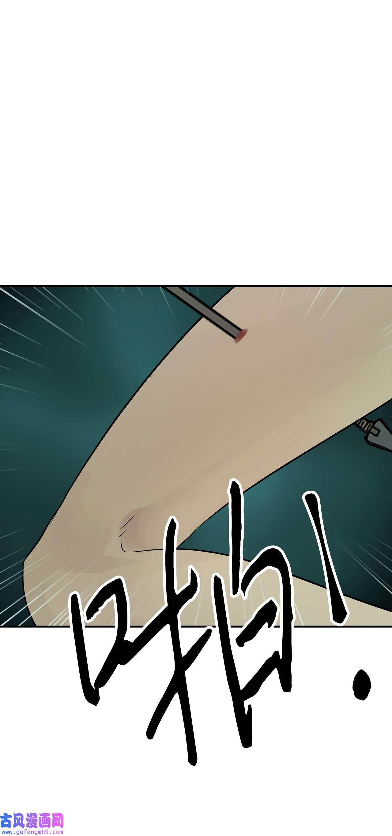 图腾领域29 又遇沙卡