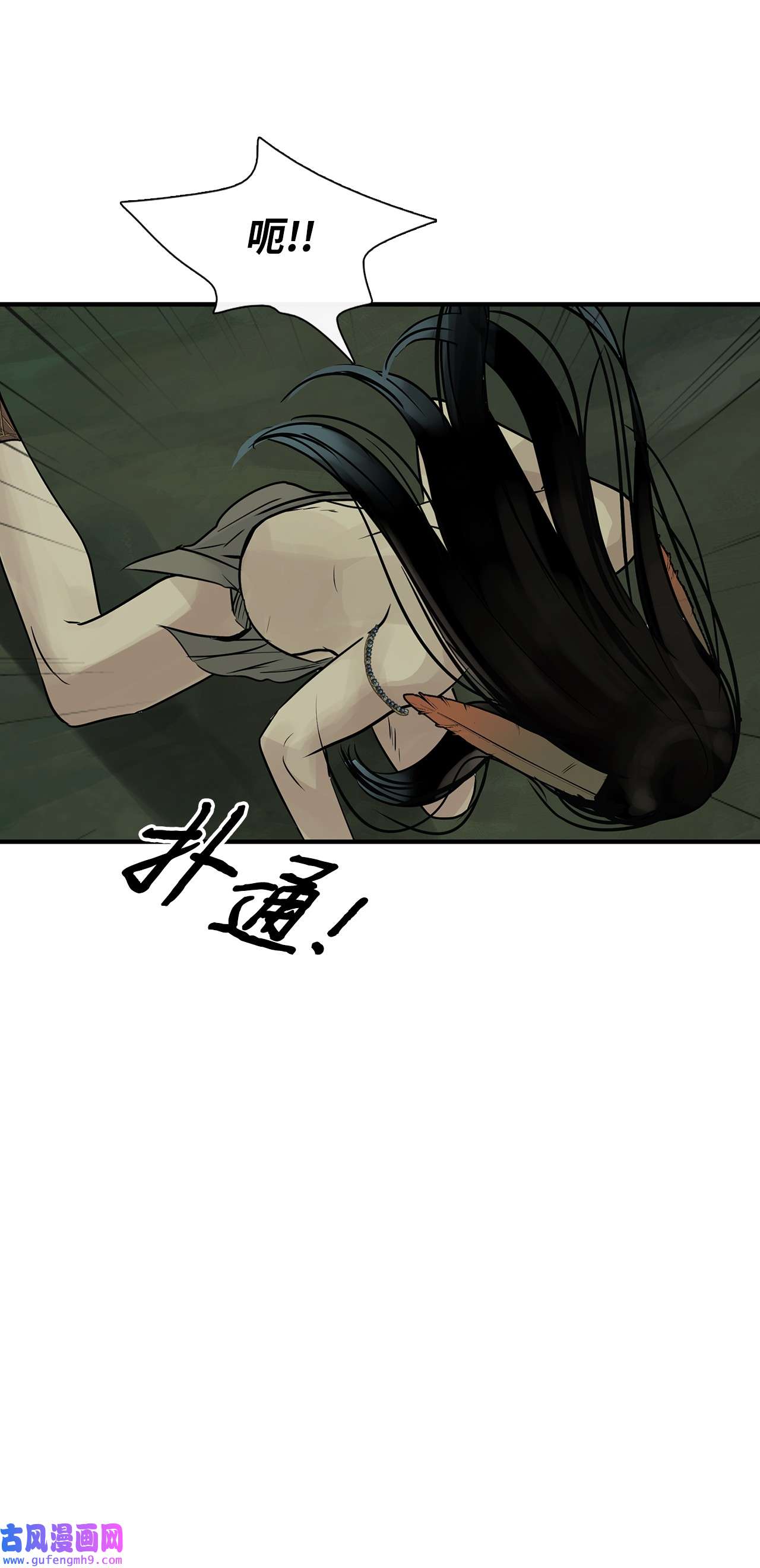 图腾领域29 又遇沙卡