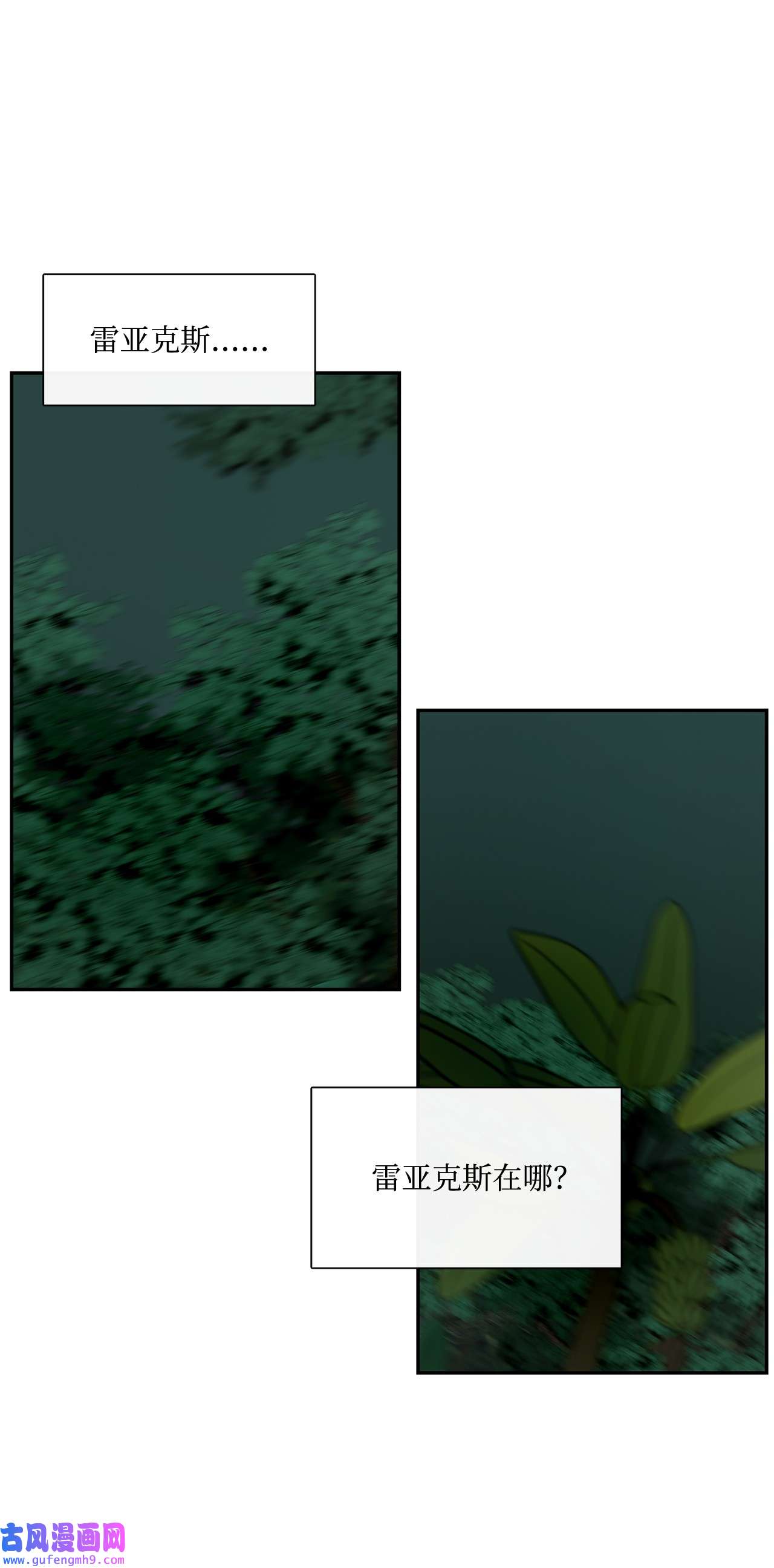 图腾领域31 我不会忘记你