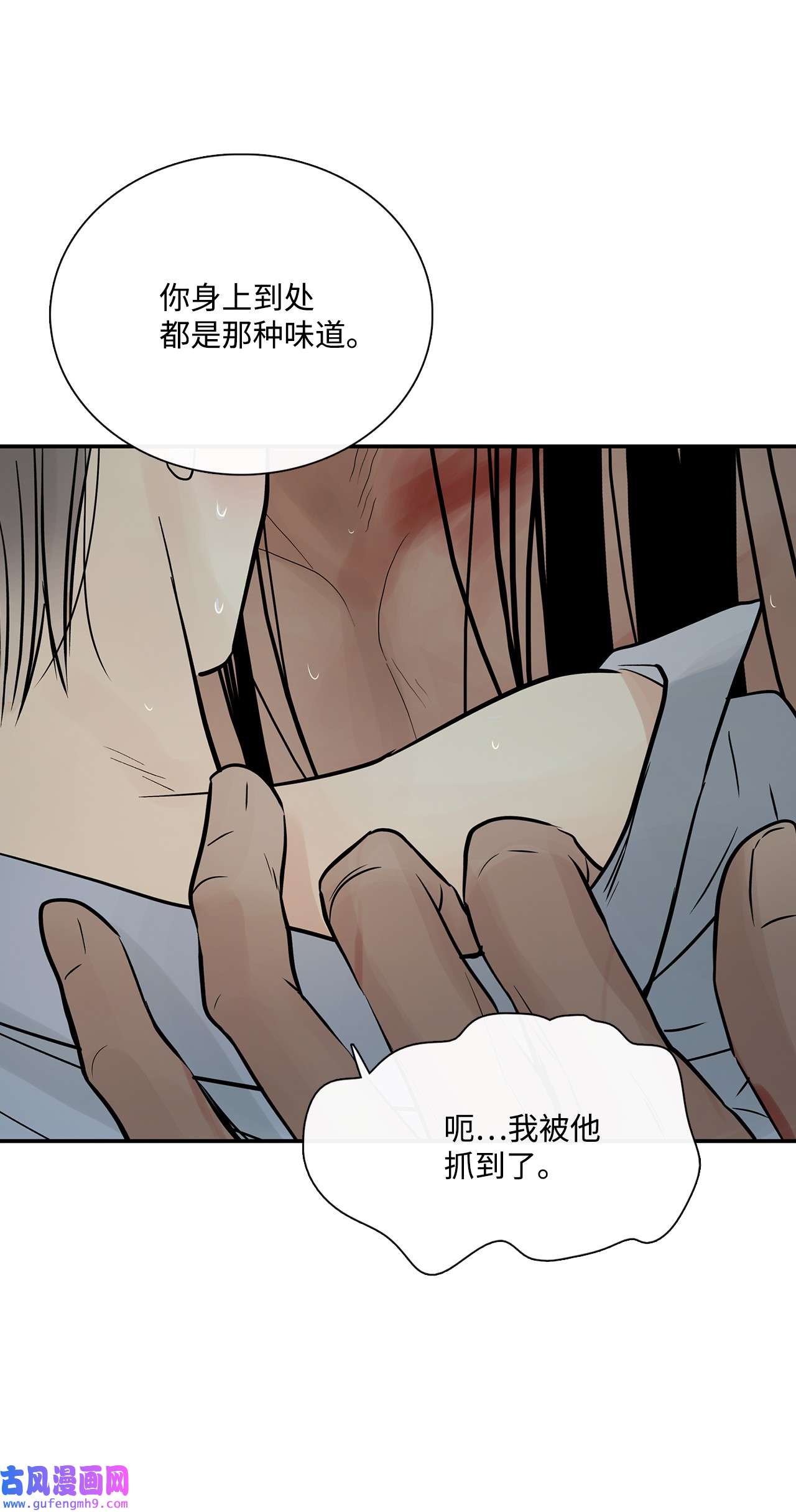 图腾领域32 身上的味道