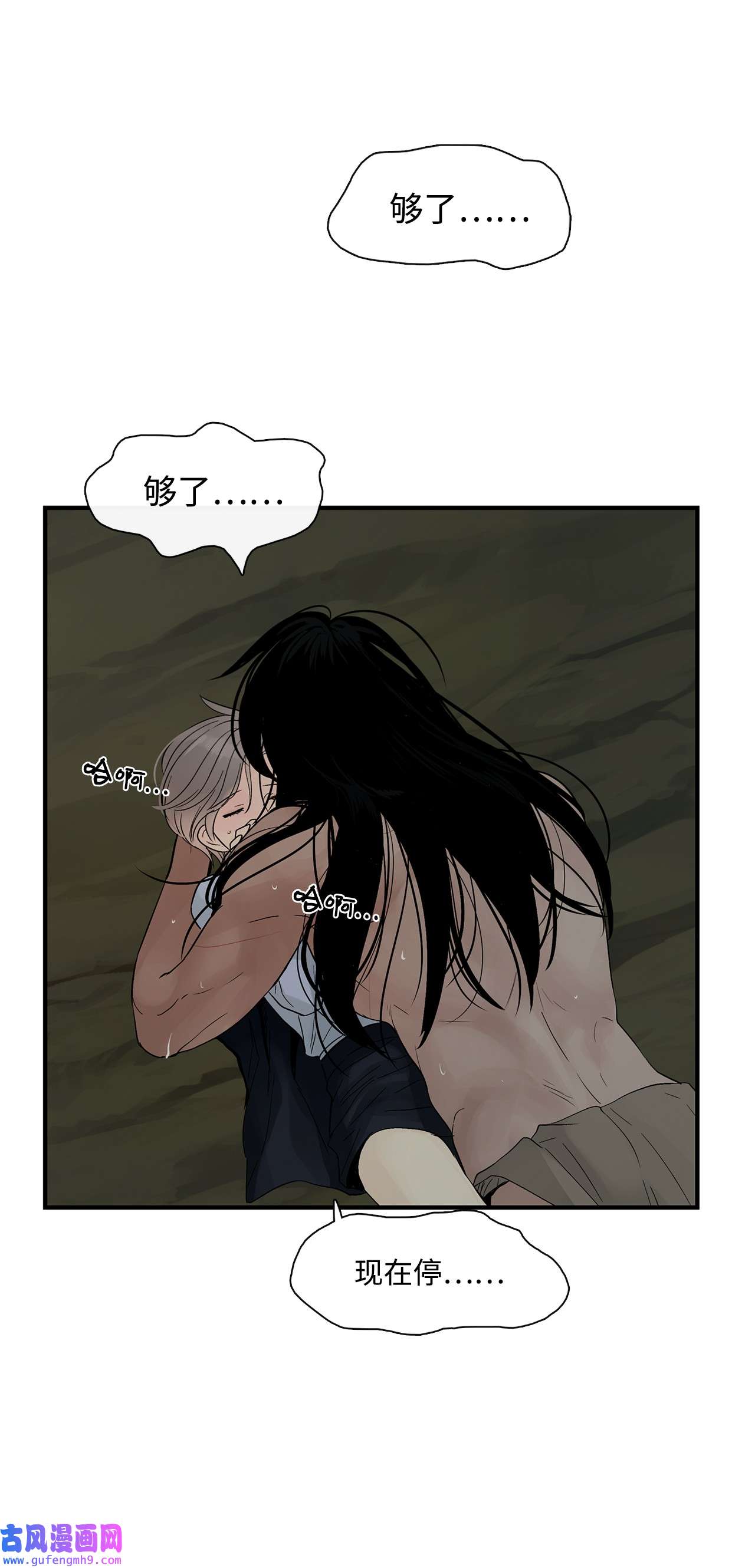 图腾领域33 沙卡的朋友