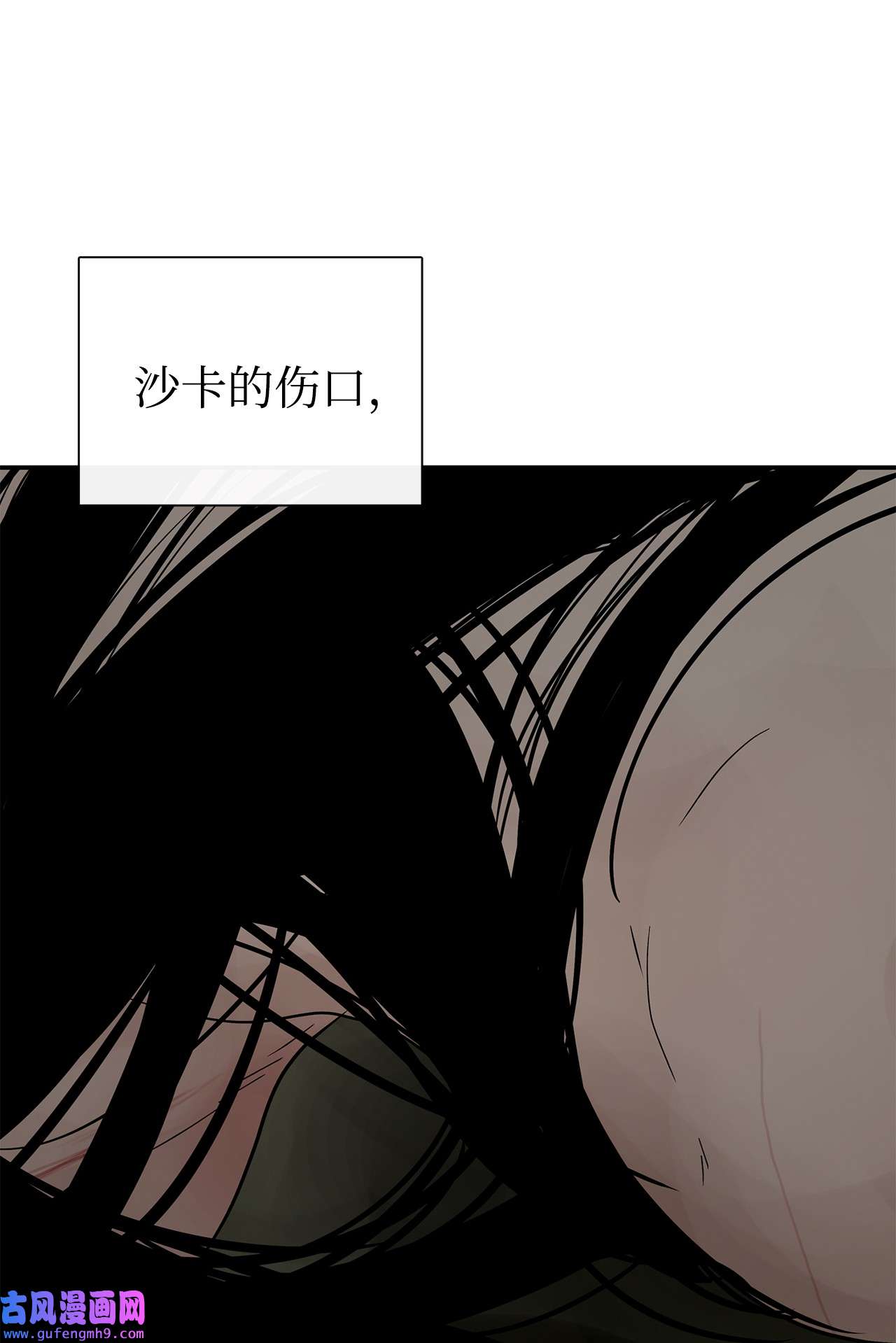 图腾领域33 沙卡的朋友