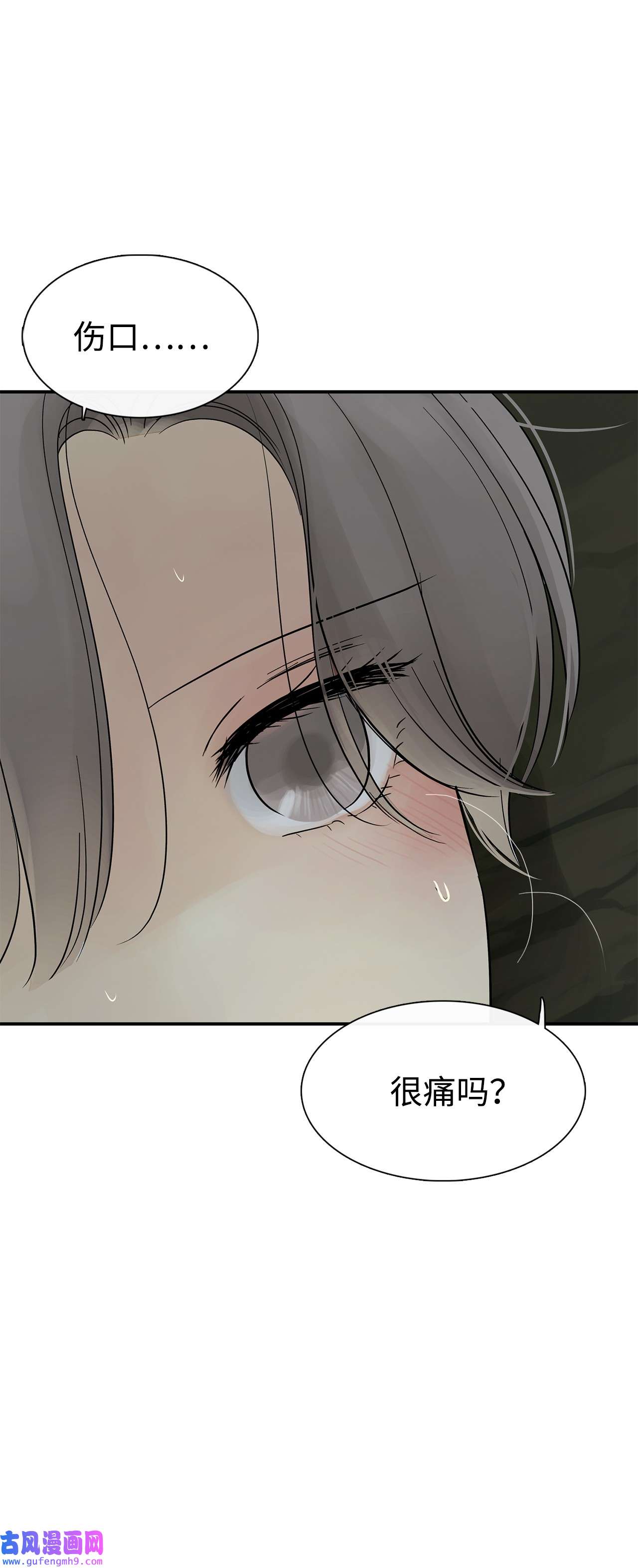 图腾领域33 沙卡的朋友