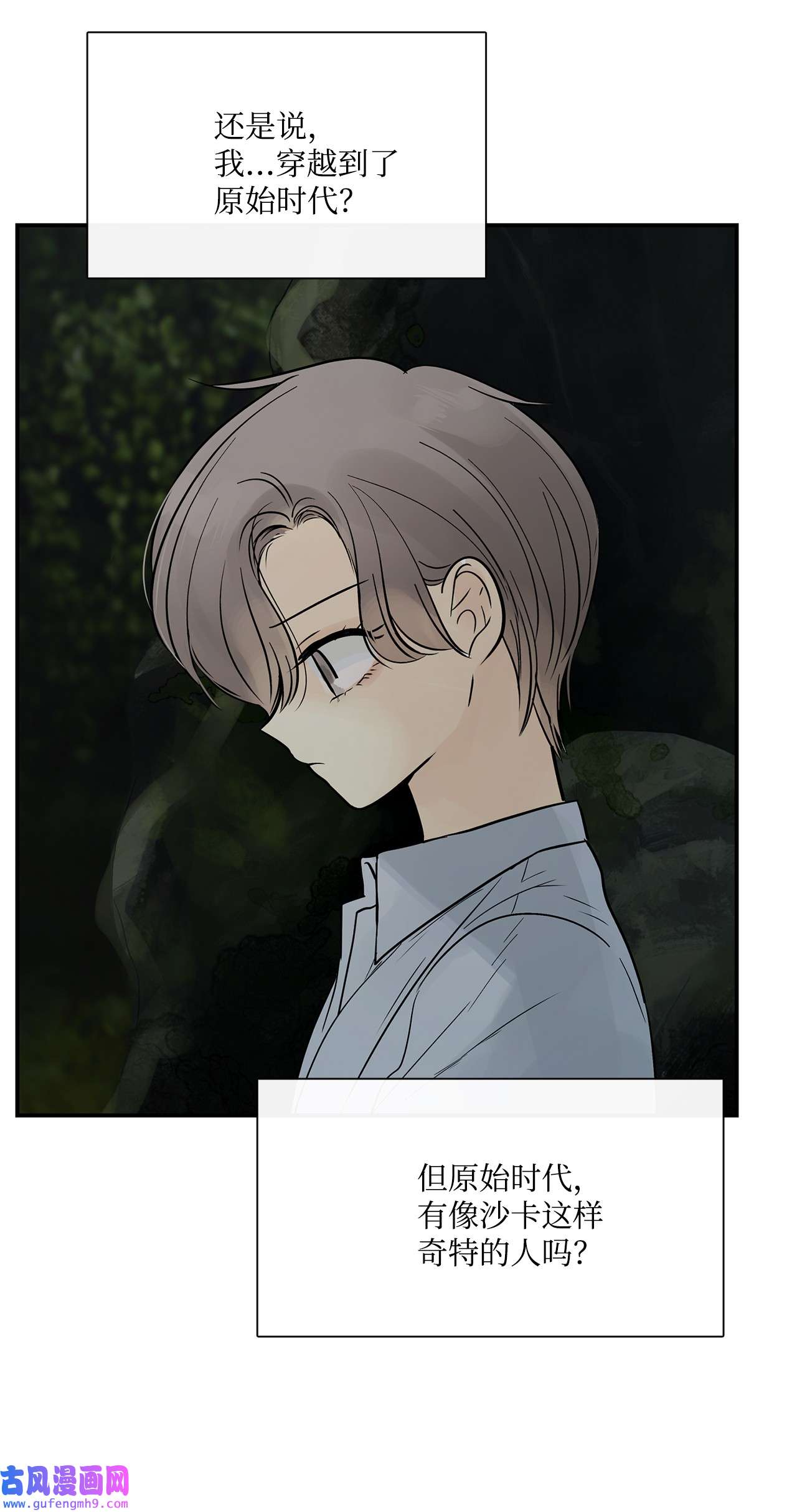 图腾领域33 沙卡的朋友