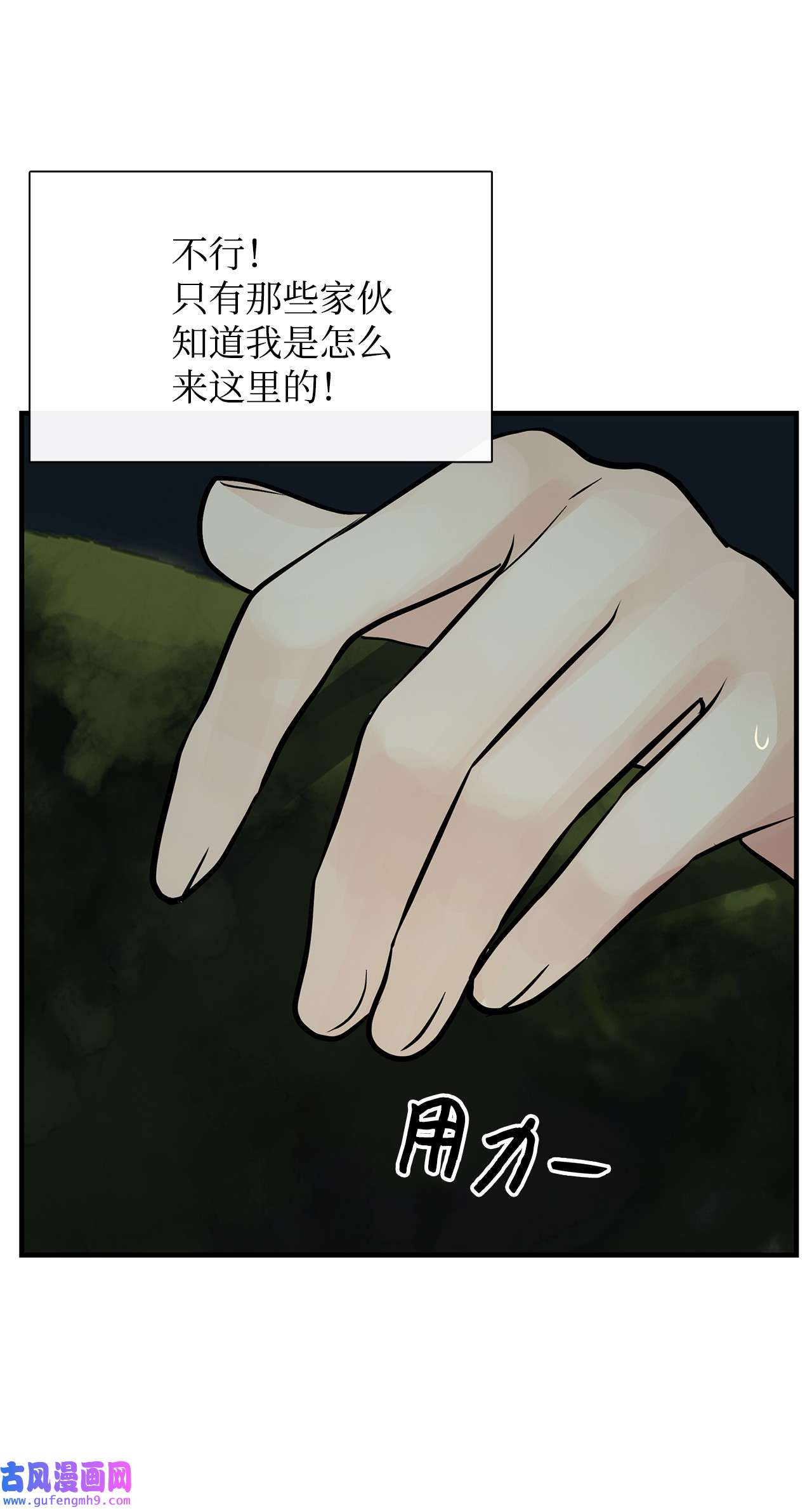 图腾领域33 沙卡的朋友